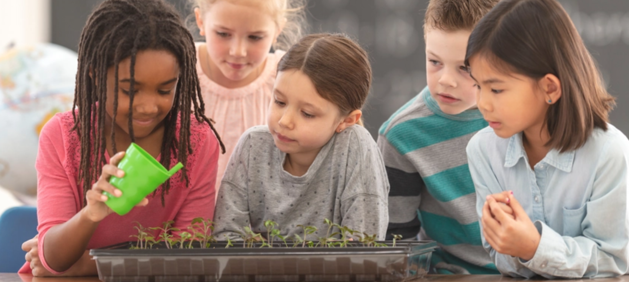 Screen Shot 2022-04-08 at 1.57.08 PM.png