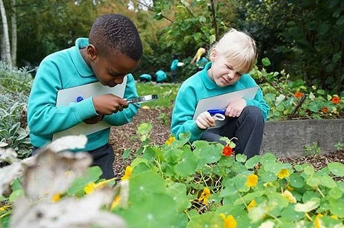 outdoor-learning-activities.jpg