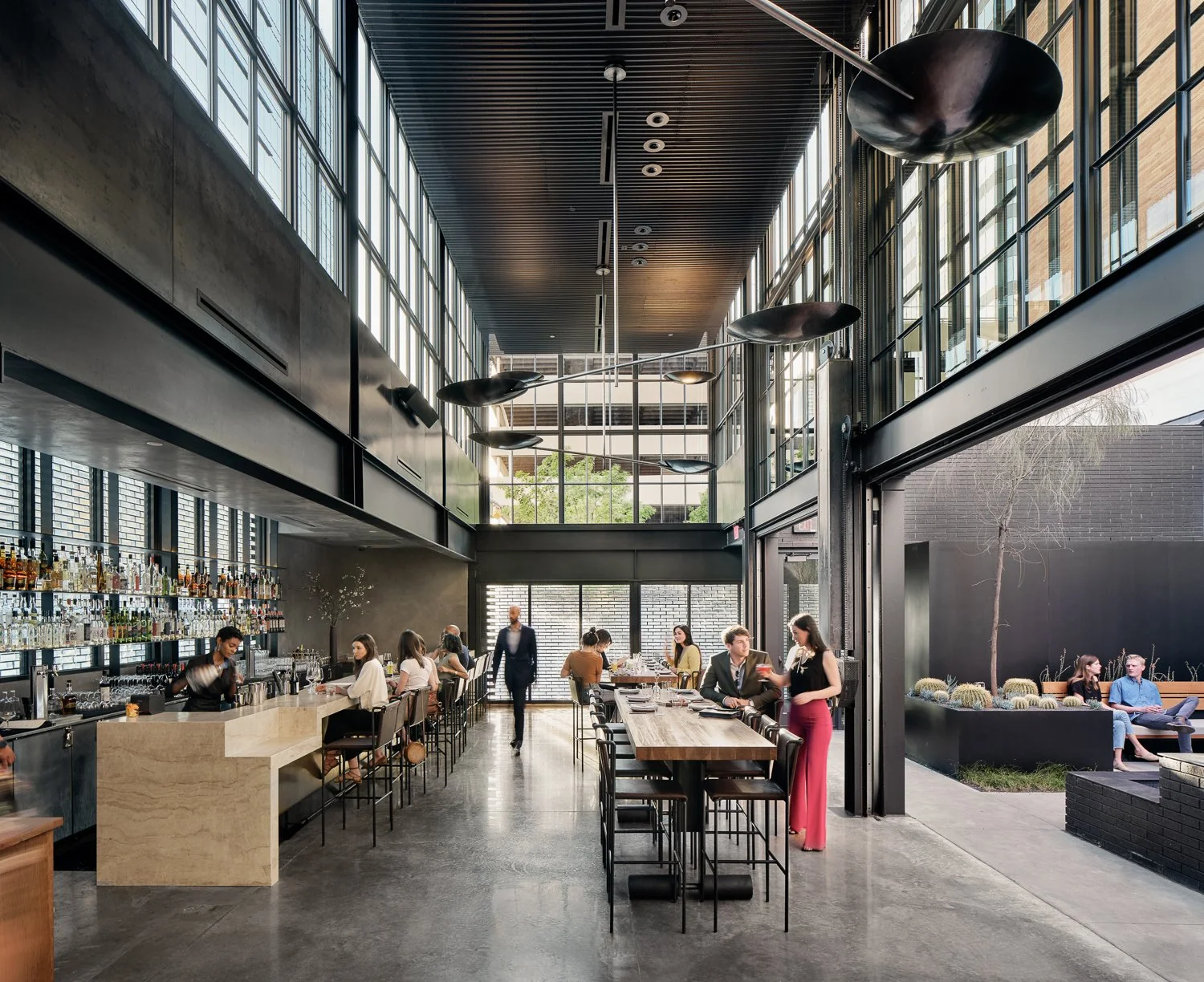 treeglasswall5196.jpg