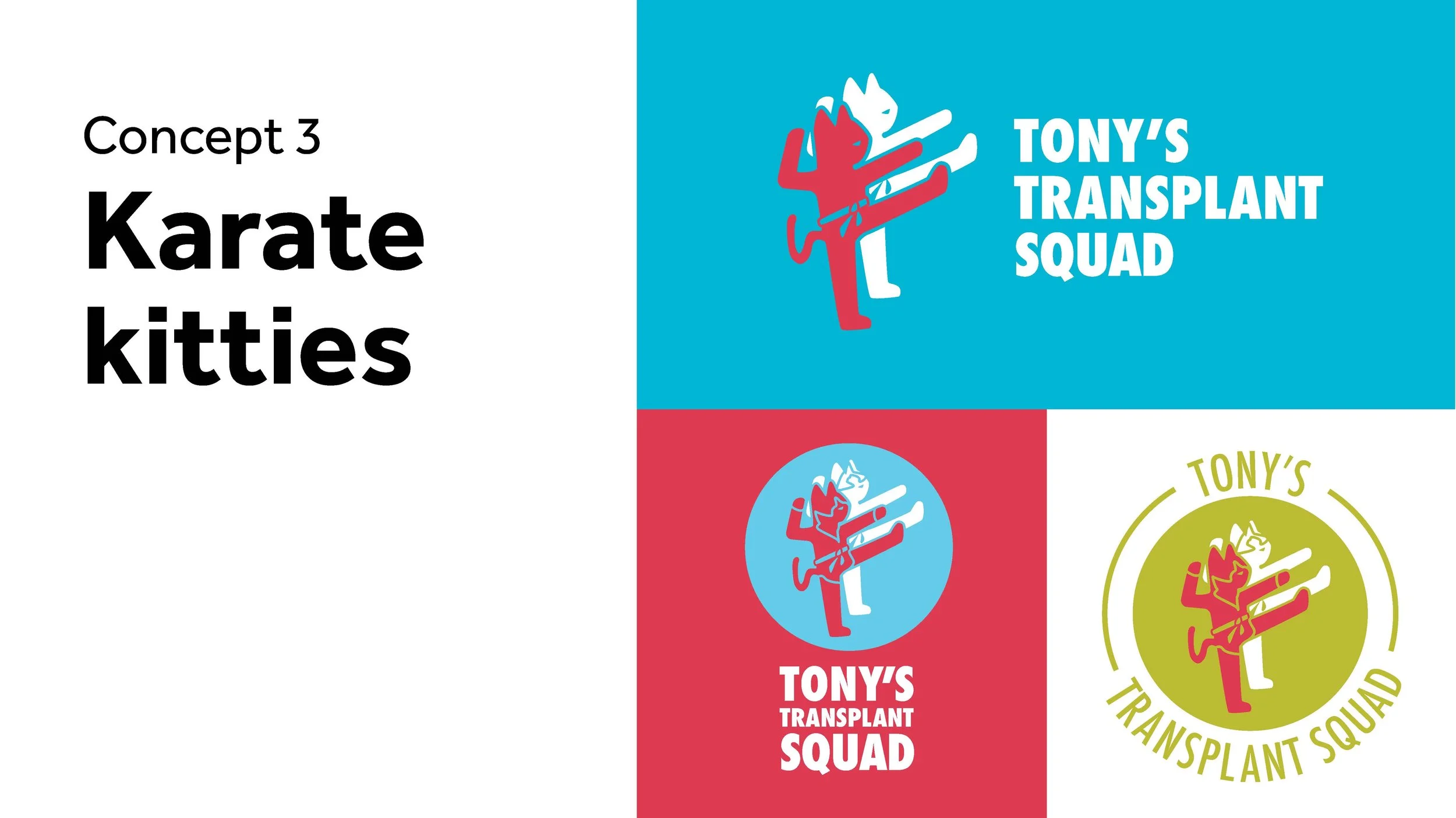 Tonys transplant_concepts_1_Page_07.jpg