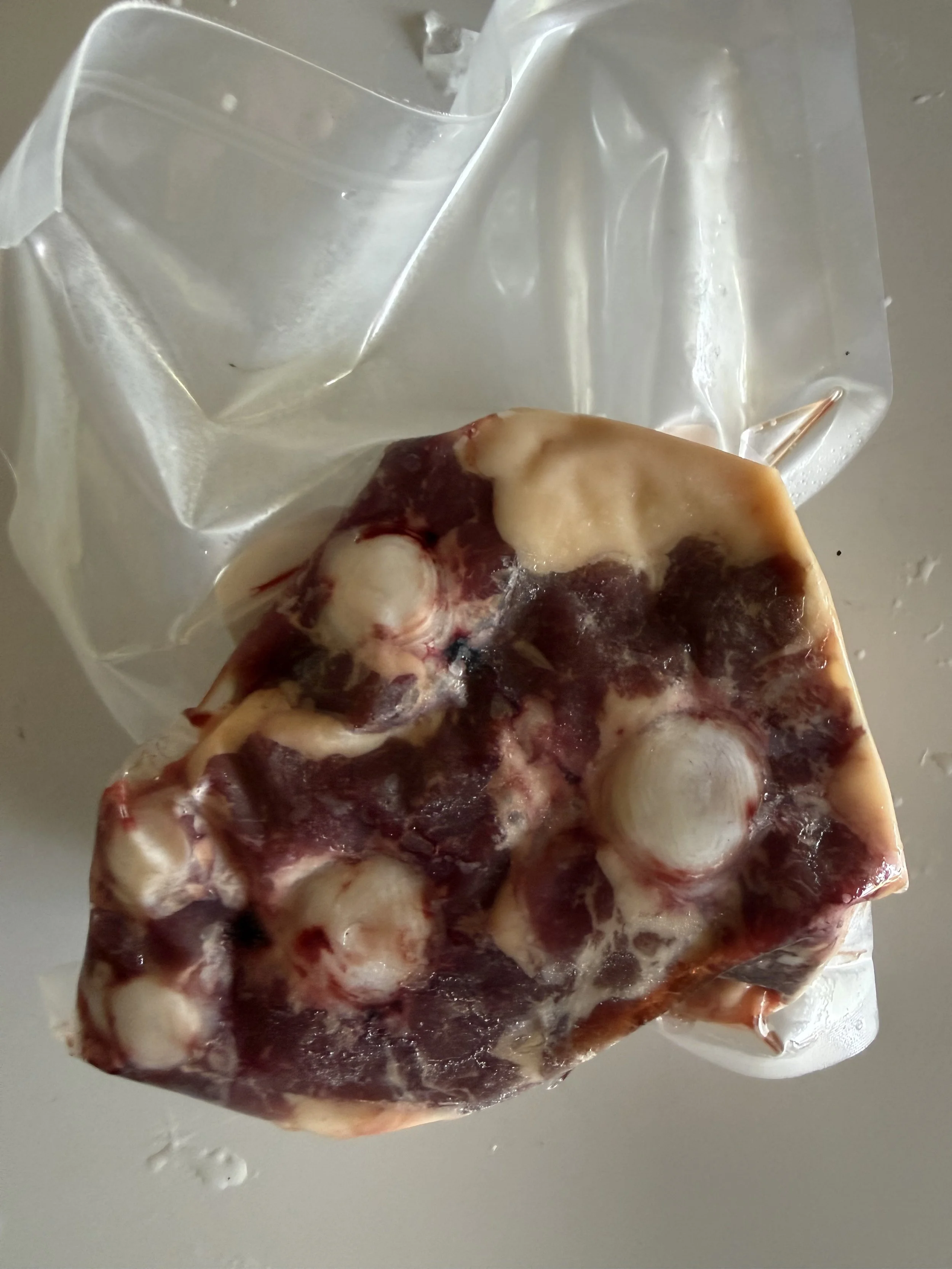 oxtail back.jpg