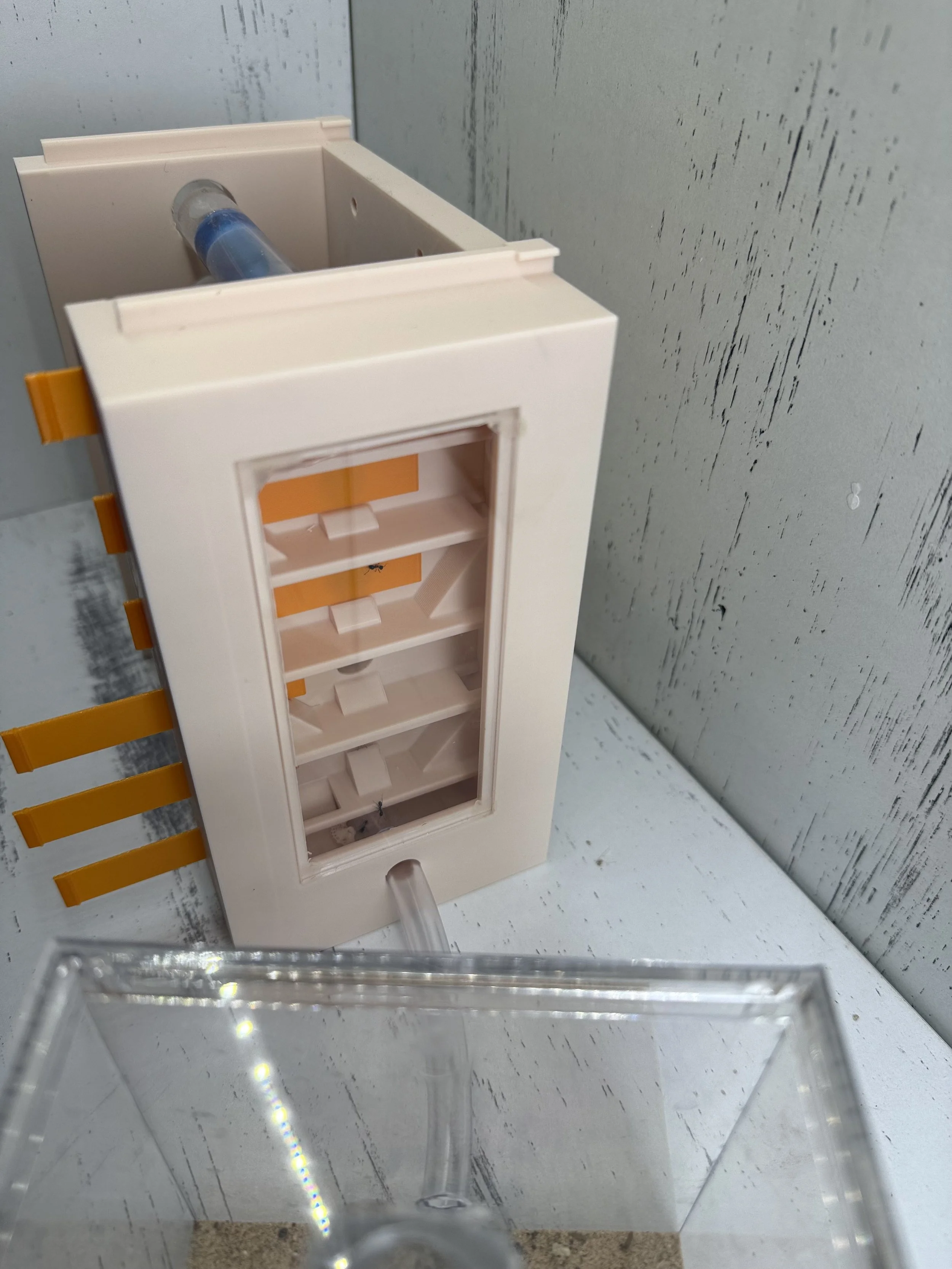 image4 (1).jpeg