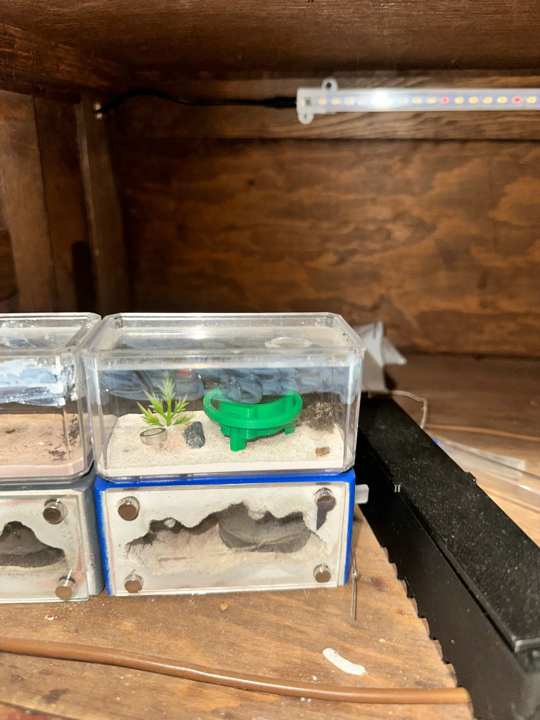 AntopiaUSA mini mega feeder V2, closeup detail