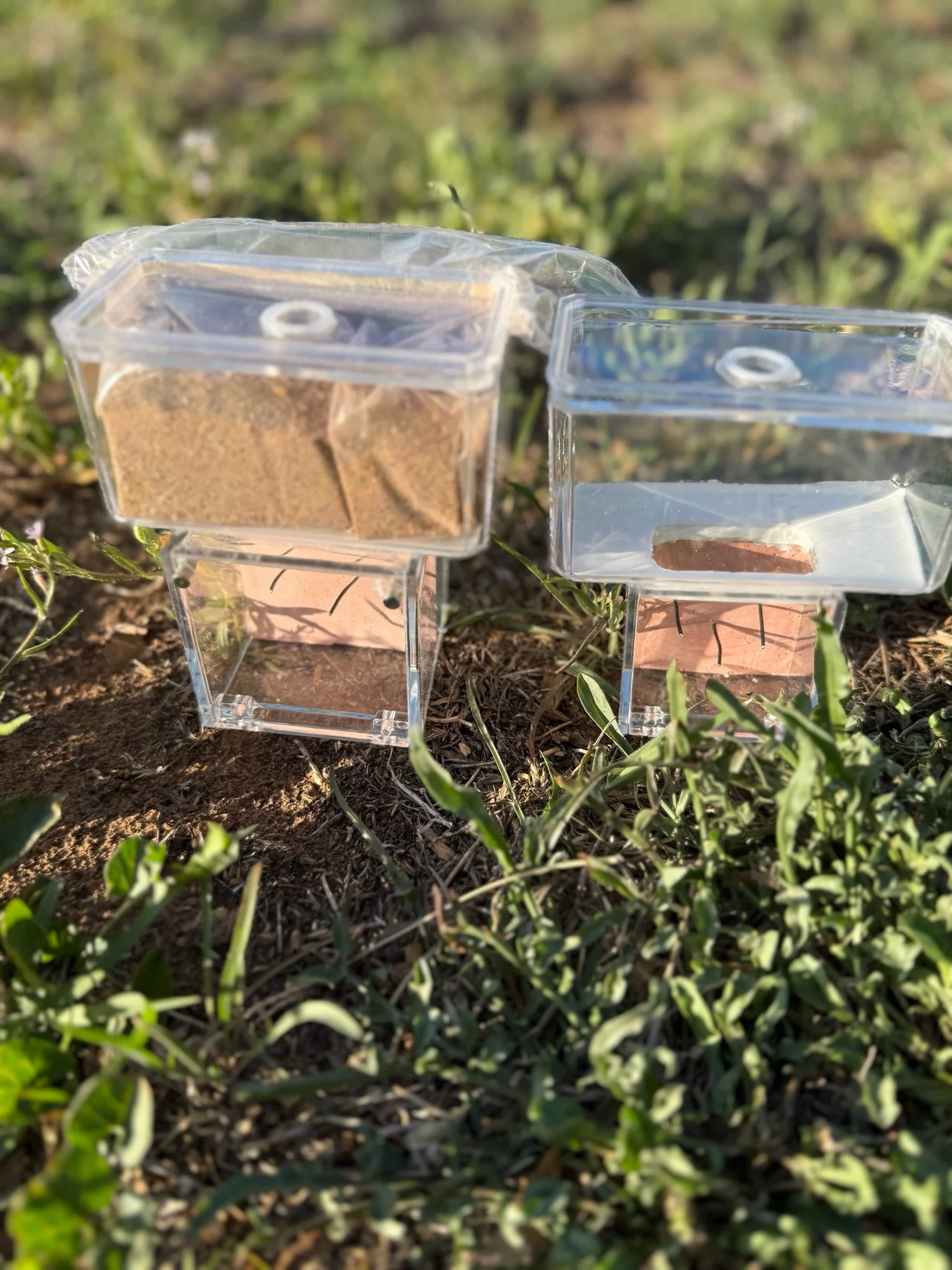 Test Tube Condo v3 complete Ant Keeping Kit(single nest plus outworld ...