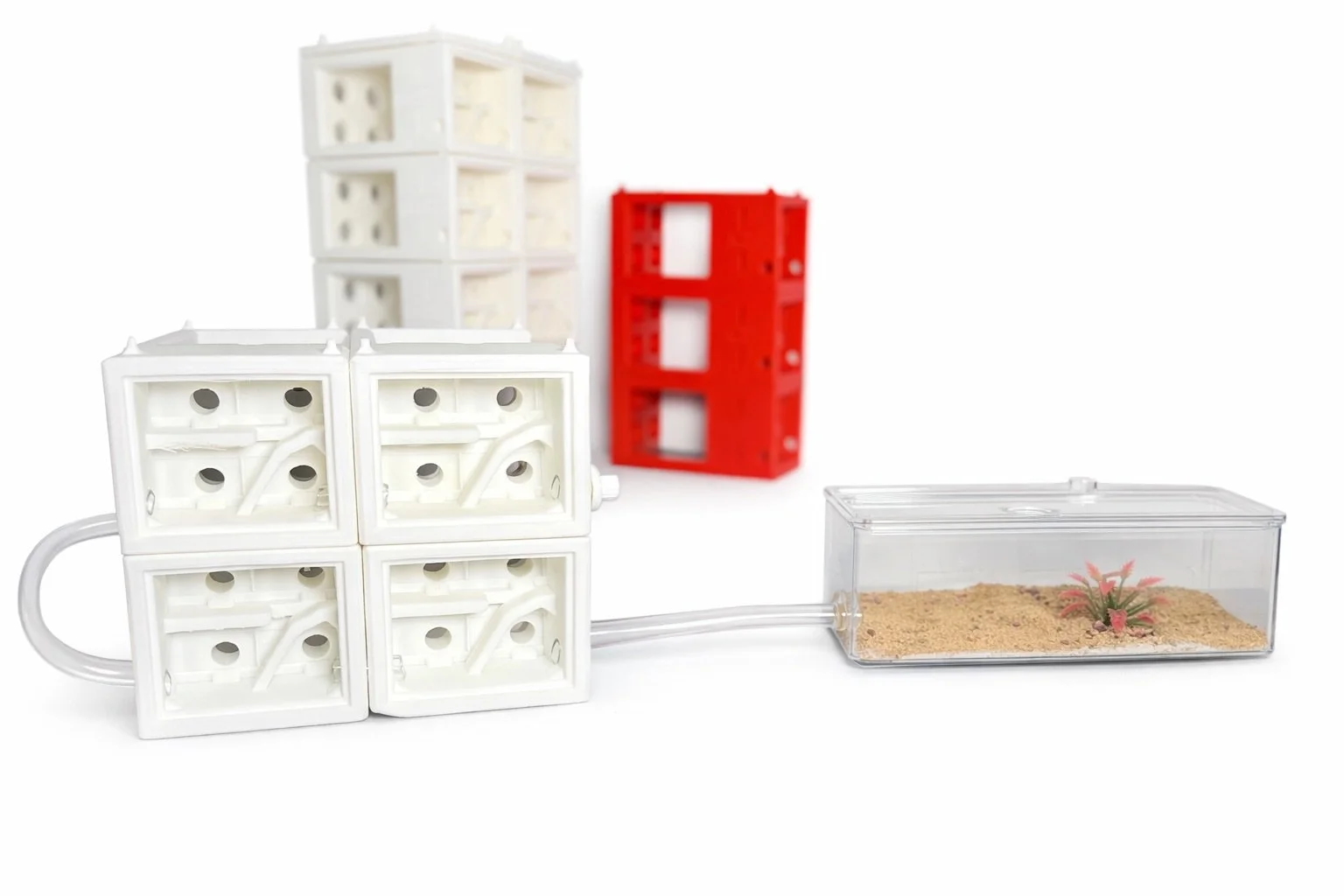 AntopiaUSA Desk Top Ant Farm, showing what is included
