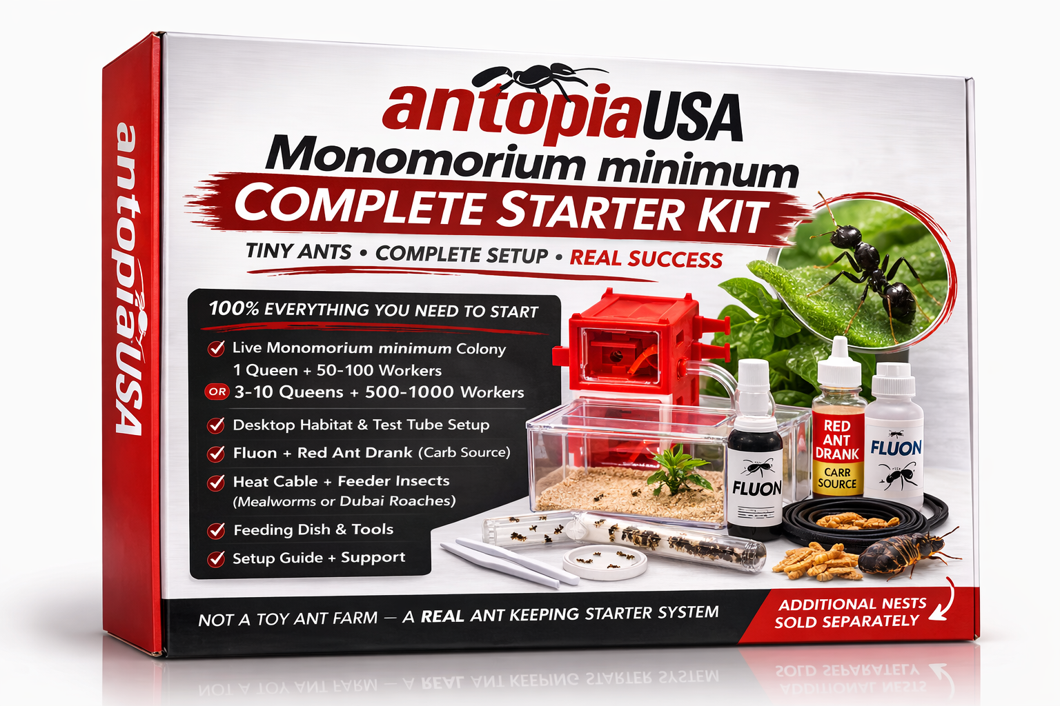 Monomorium minimum Complete Starter Kit ( Comes with Mated Queen Ant +Workers+complete starter kit)
