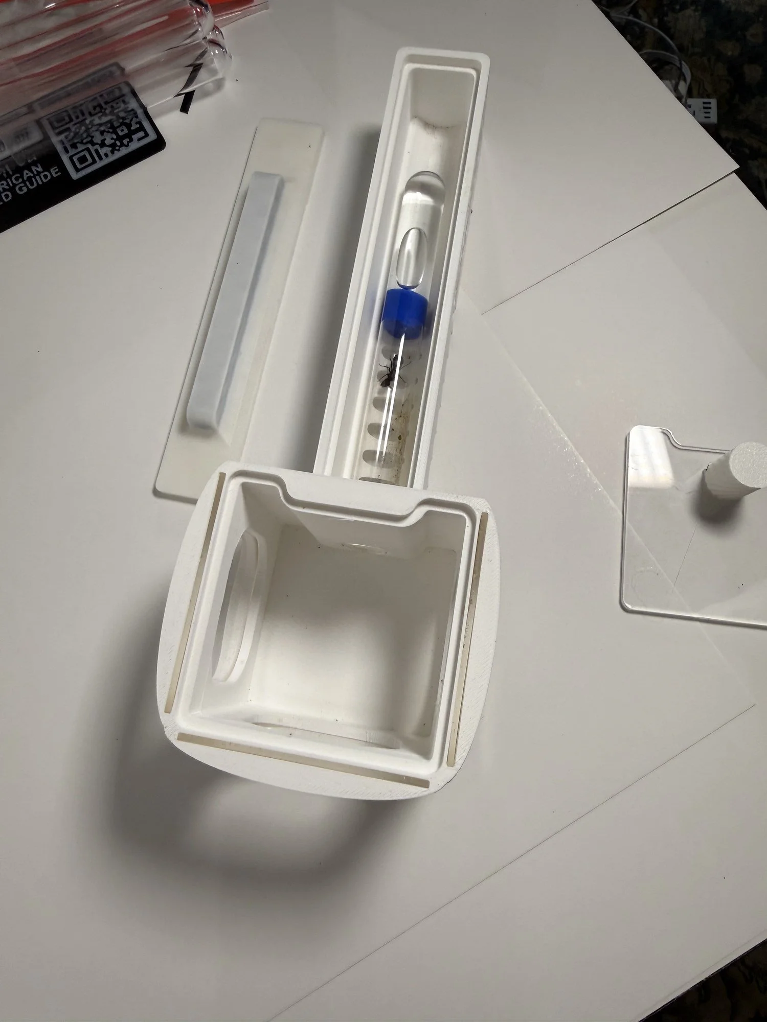 Test Tube Cabin Portal V5 opened, with a test tube and an ant inside