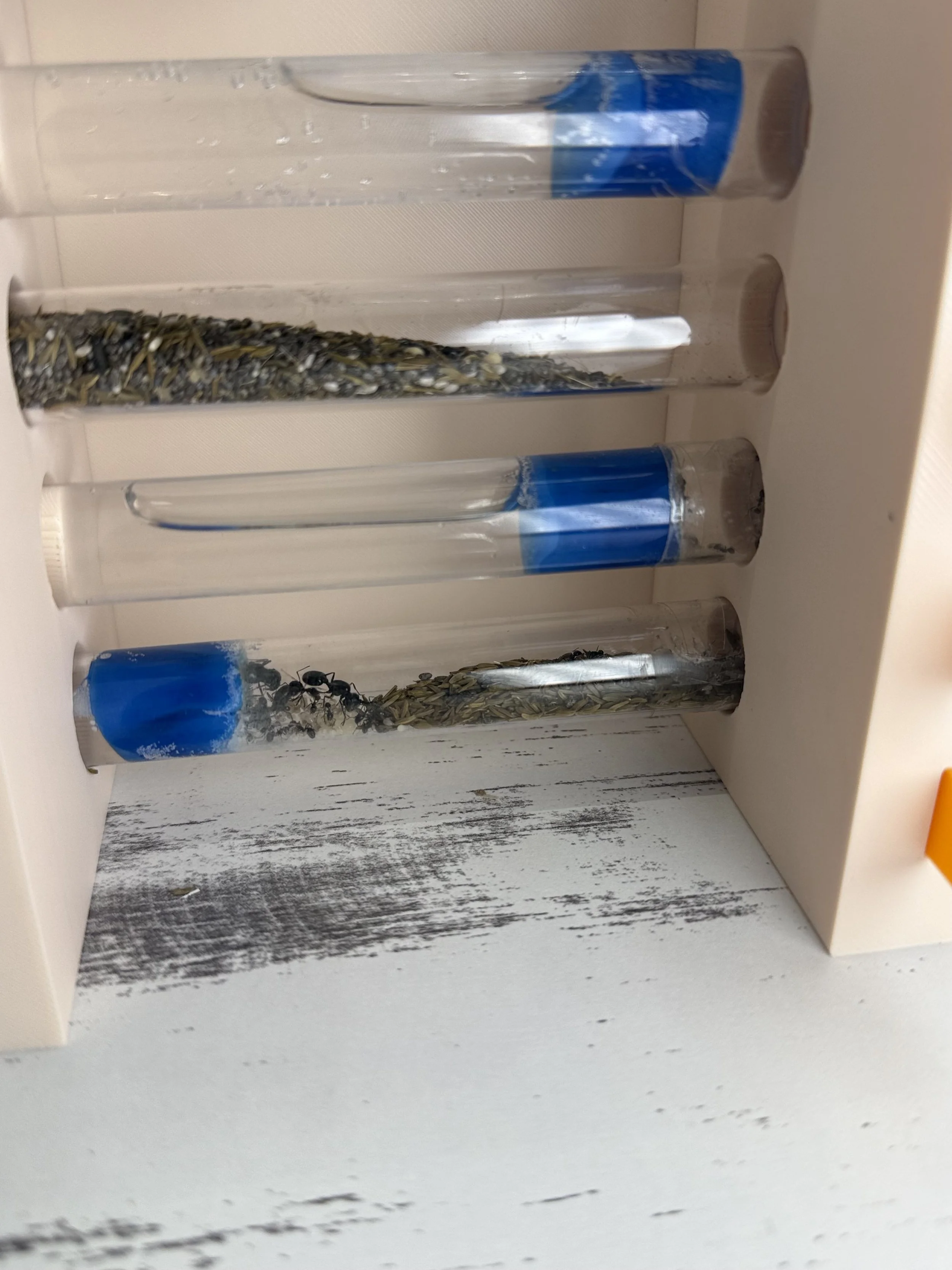 image5 (1).jpeg