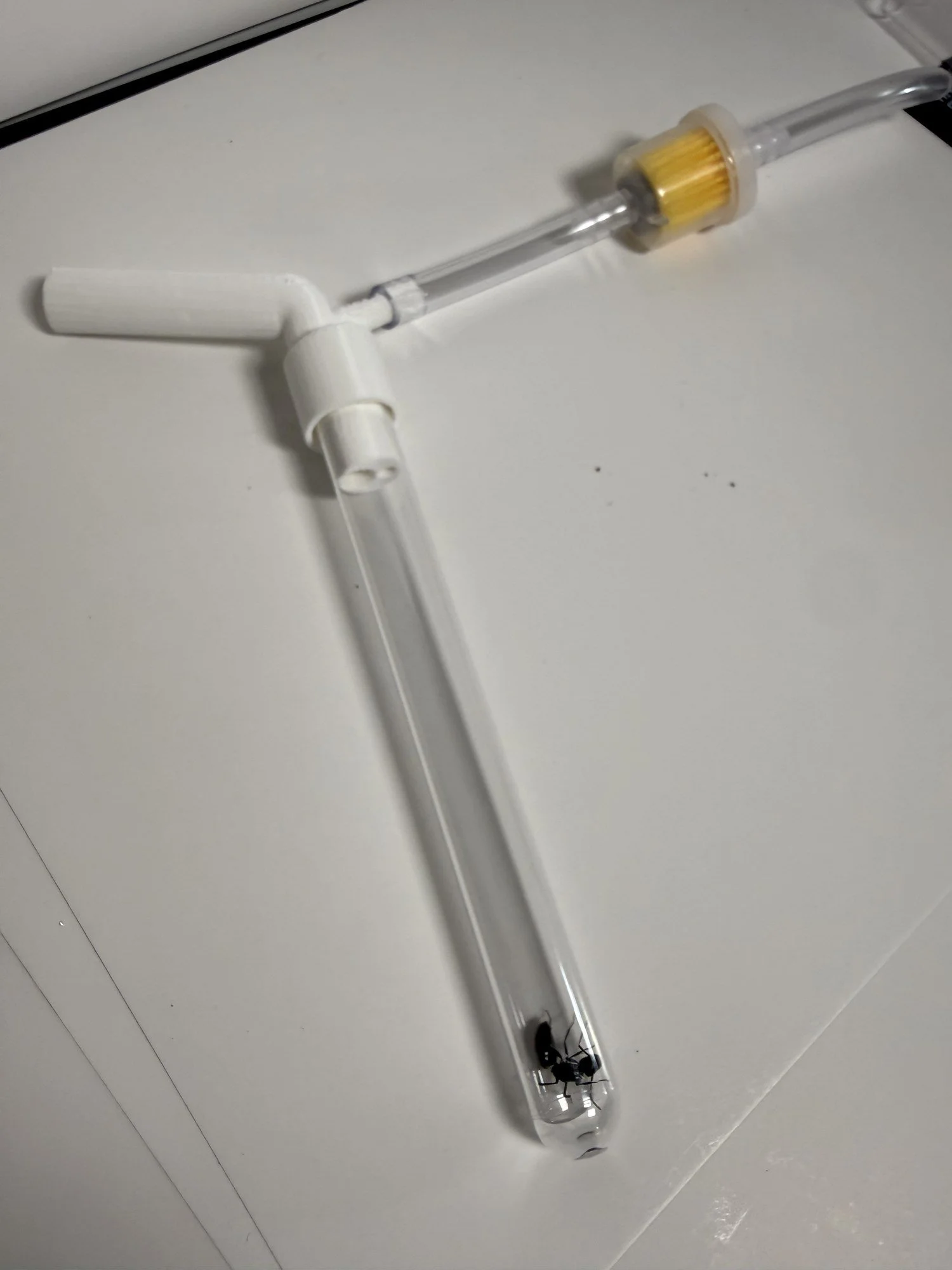 AntopiaUSA Manual Ant Vacuum V2 with the inline filter installed and an ant in the tube