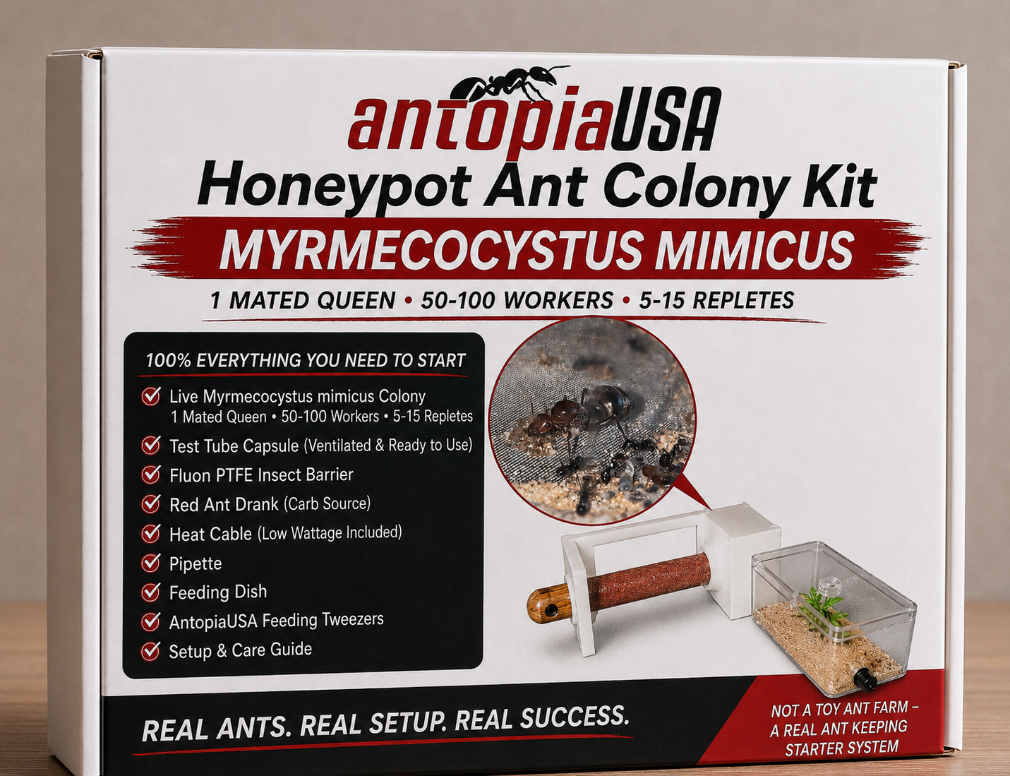 Honeypot Ant Colony Kit for Sale — Myrmecocystus mimicus, 1 Mated Queen + 50-100 Workers + 5-15 Repletes + AntopiaUSA Test Tube Capsule Ant Farm