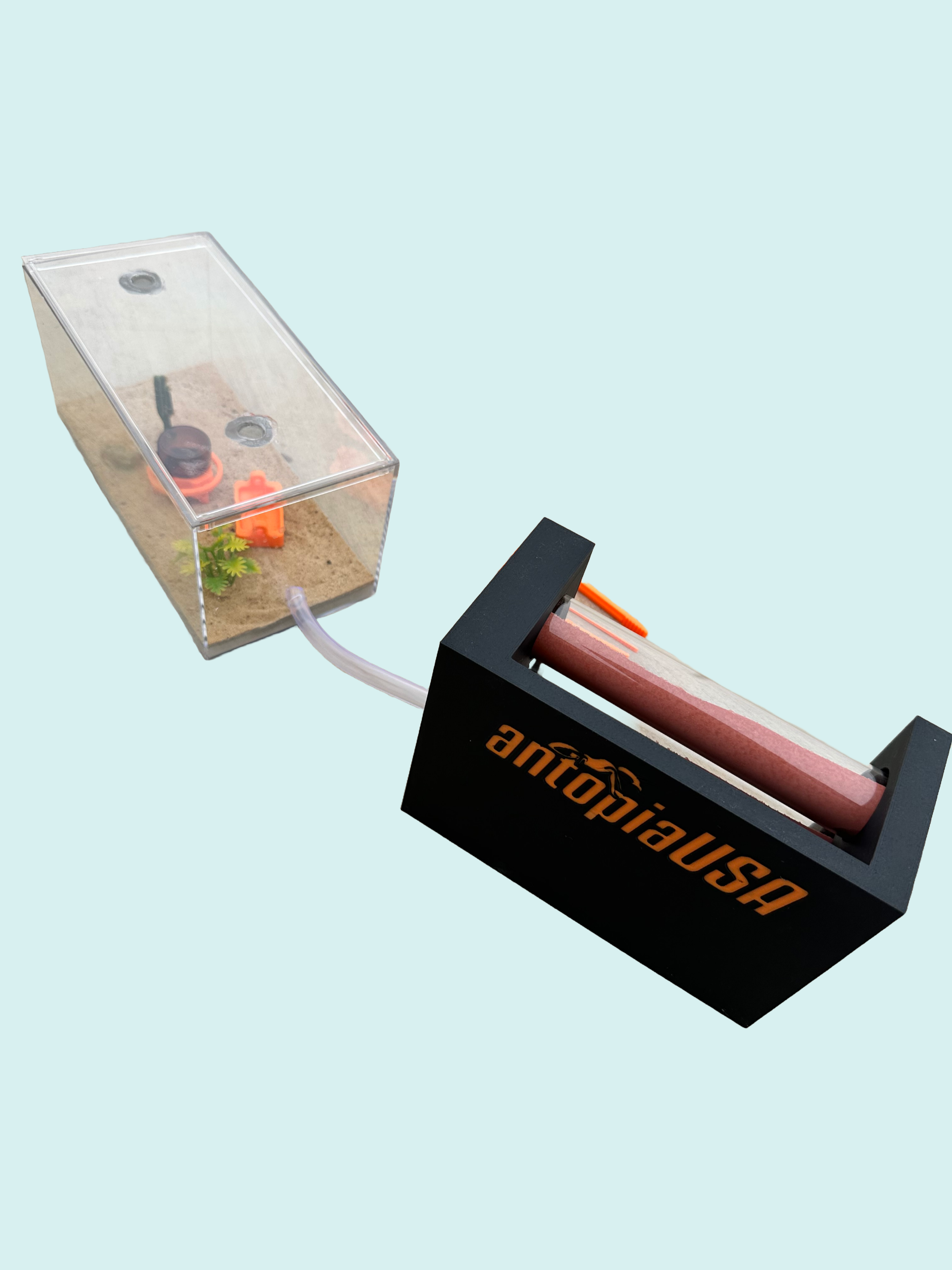 image0.png