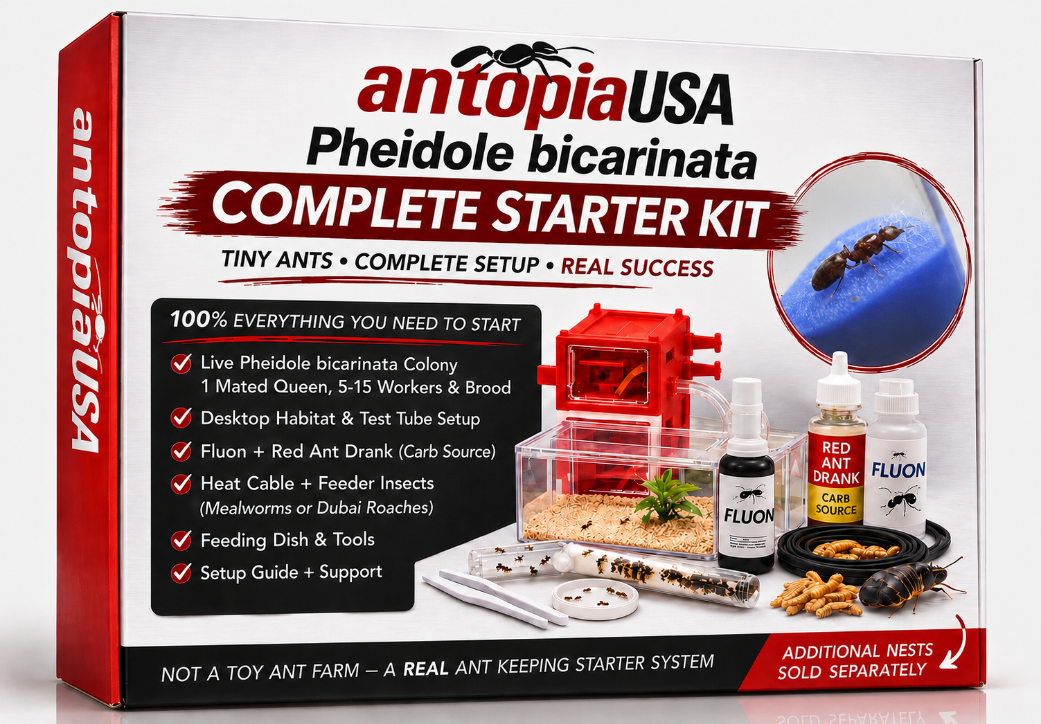 AntopiaUSA Pheidole bicarinata complete starter ant farm kit box, showing the desktop nest, outworld, test tubes, Fluon, Red Ant Drank, feeding tools and feeder insects