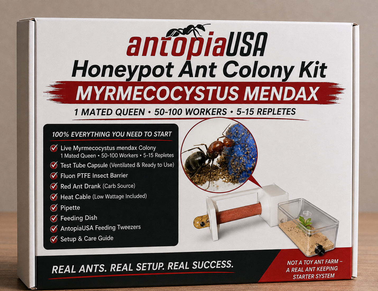 Honeypot Ant Colony Kit for Sale — Myrmecocystus mendax (Large Variant), 1 Mated Queen + 50-100 Workers + 5-15 Repletes + AntopiaUSA Test Tube Capsule Ant Farm