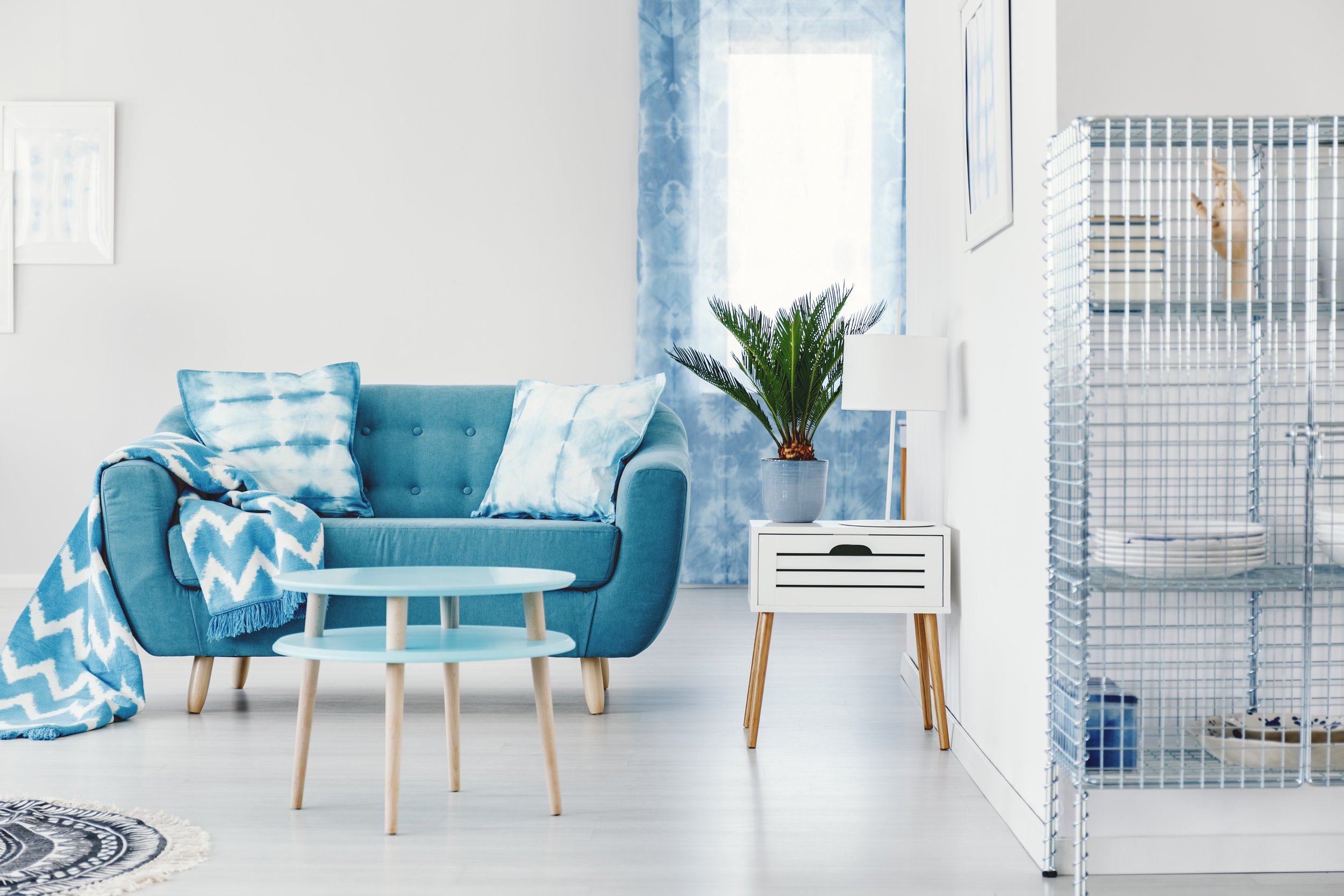 turquoise-apartment-interior-design-2021-08-26-15-43-17-utc.jpg