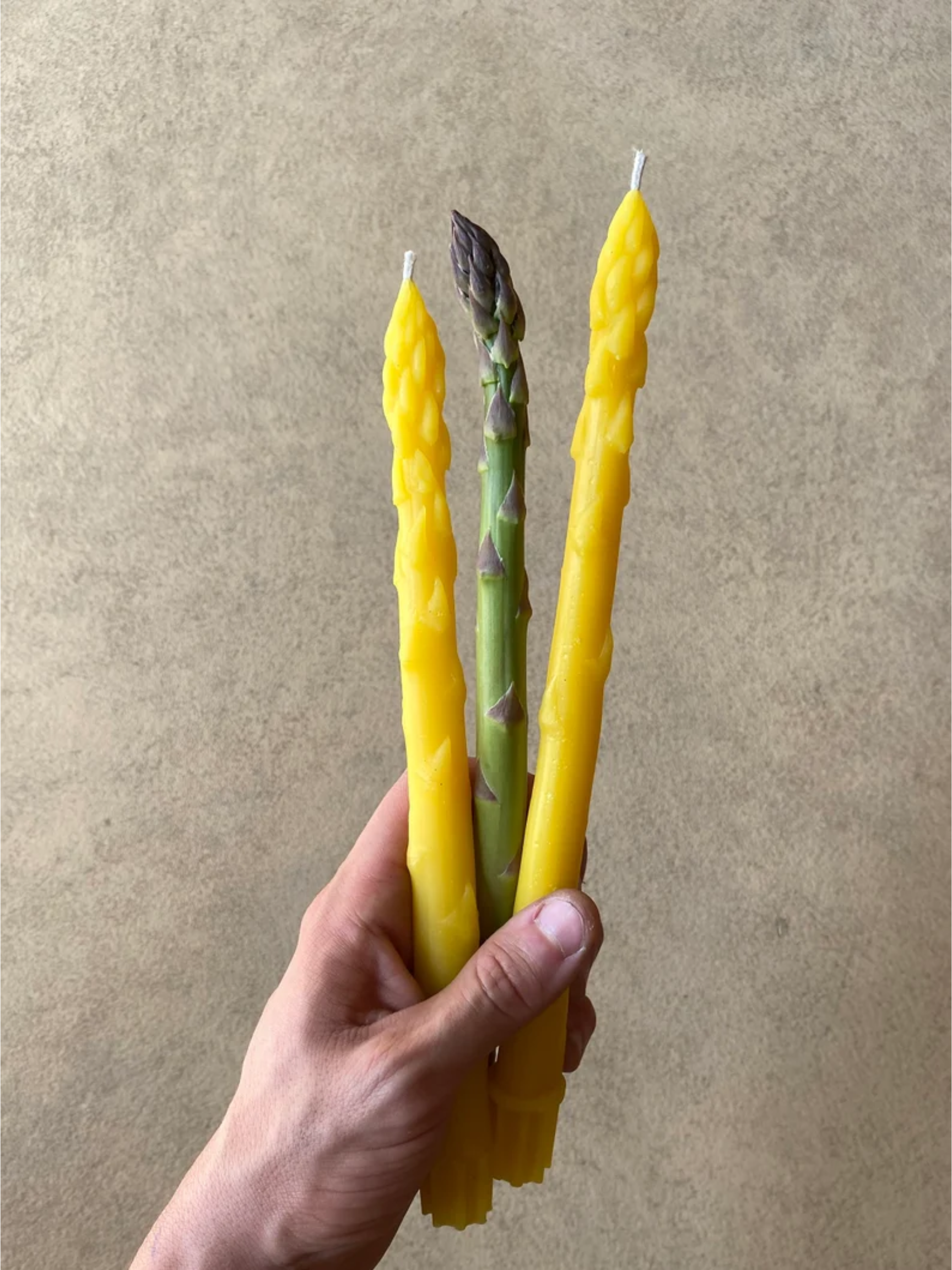 Asparagus Beeswax Tapers