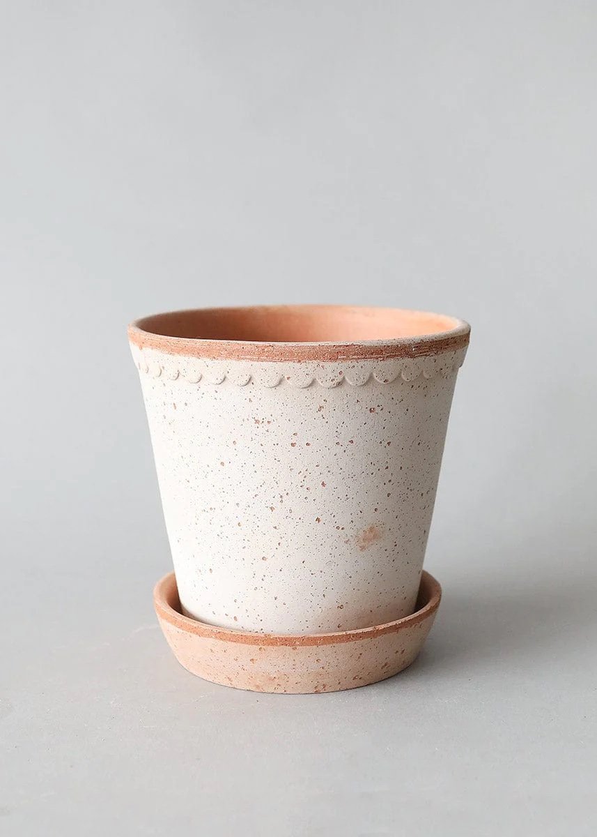 Bergs Handmade Clay Pot with Drainage - 6.5"