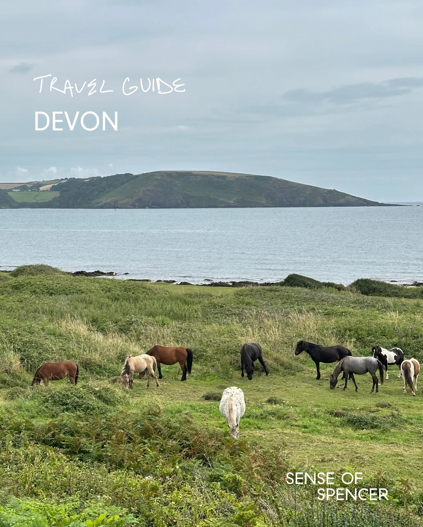 Devon, England: Better Than the Cotswolds (And Far Less Crowded)
