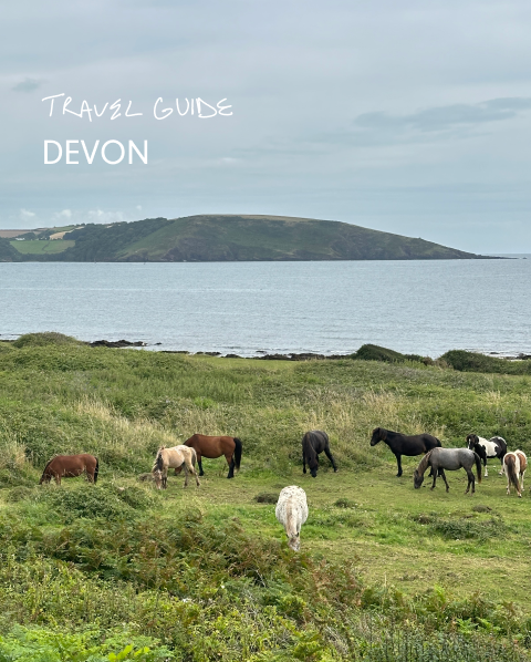 Devon, England: Better Than the Cotswolds (And Far Less Crowded)