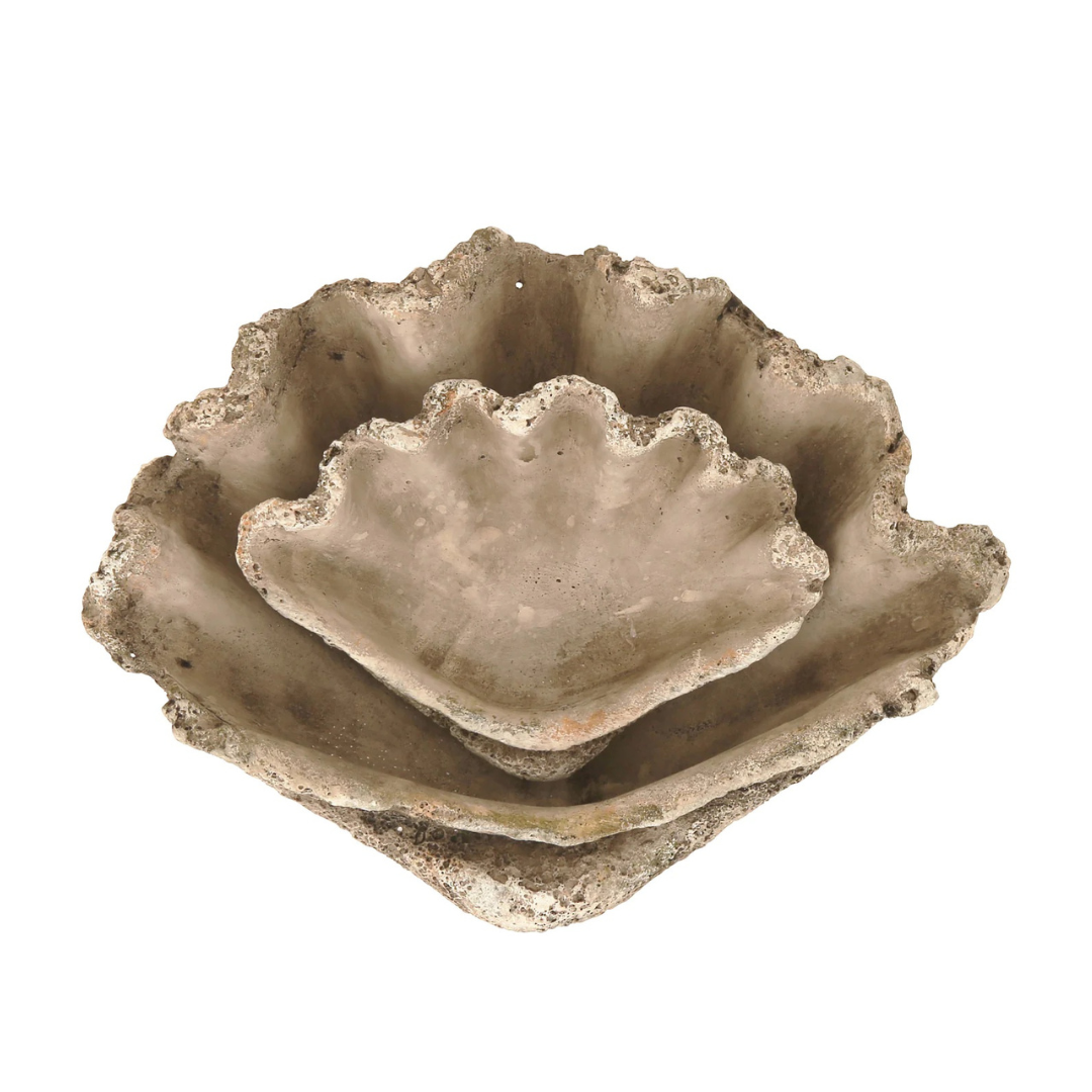 Concrete Shell (starting at $20 at Jayson Home)