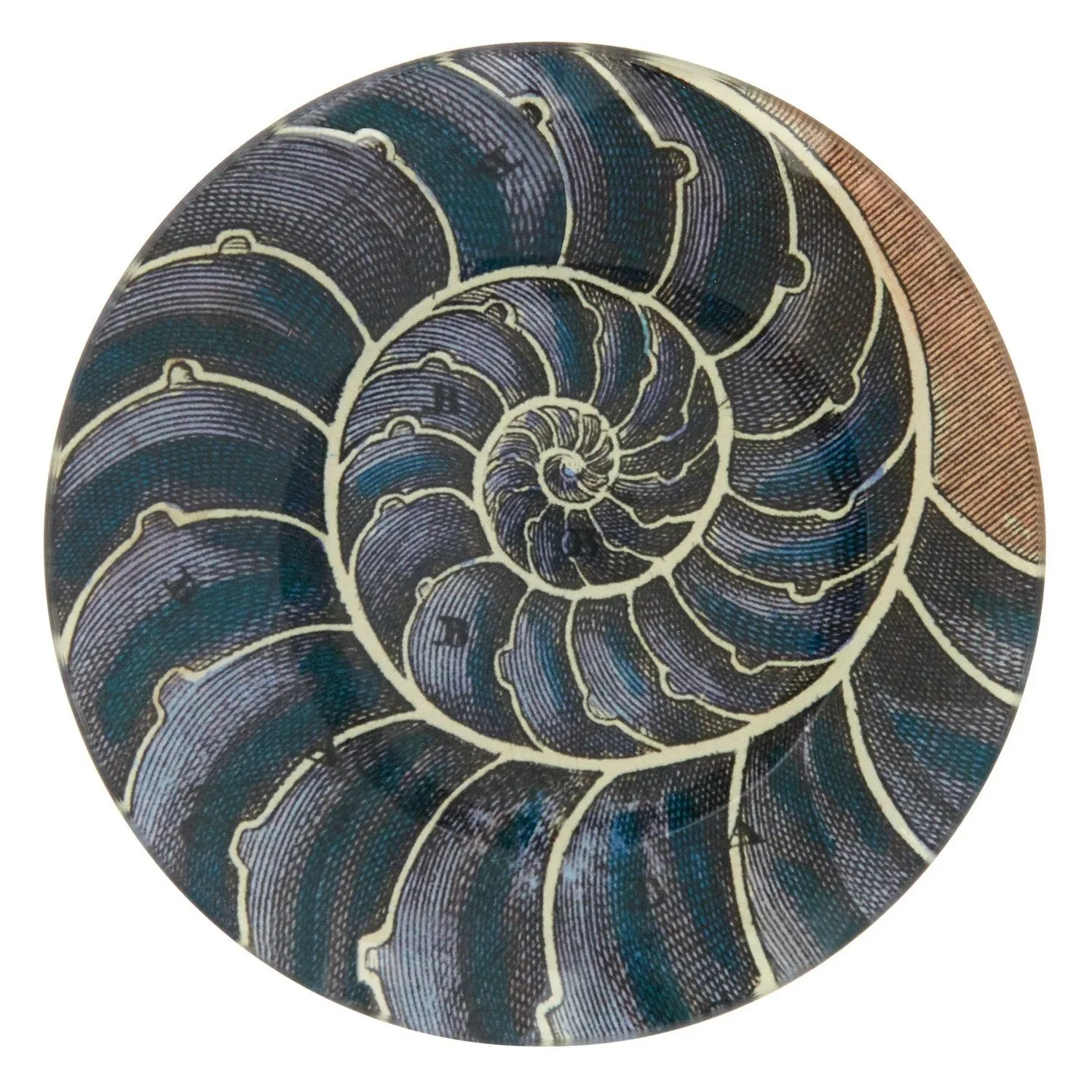 Blue Nautilus Plate ($75 at Jayson Home)