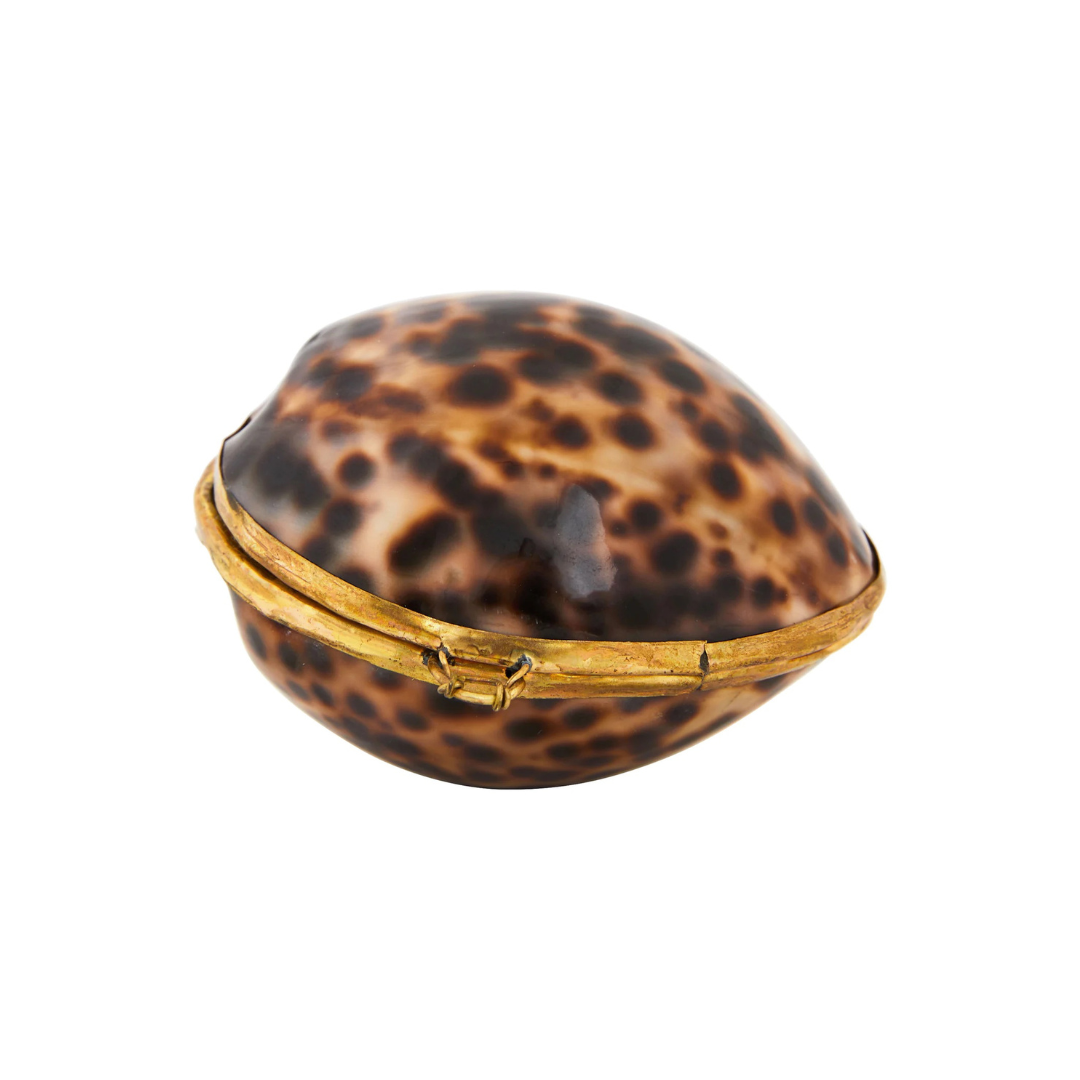 Cowrie Shell Stash Box ($20 at Jayson Home)