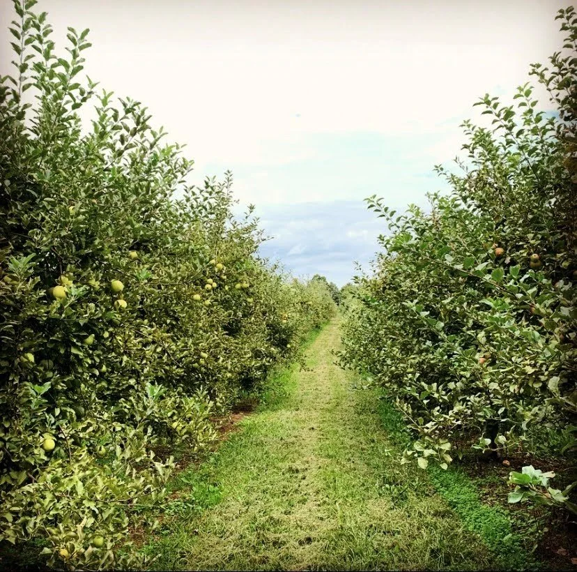 General 2 — Behling Orchards