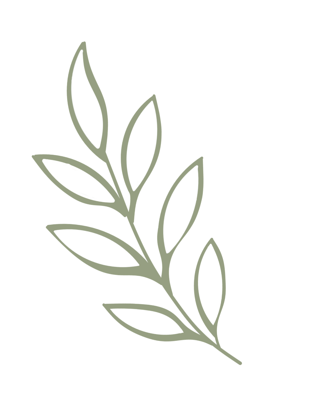 Outline of a leafy plant with multiple elongated leaves branching from a central stem.