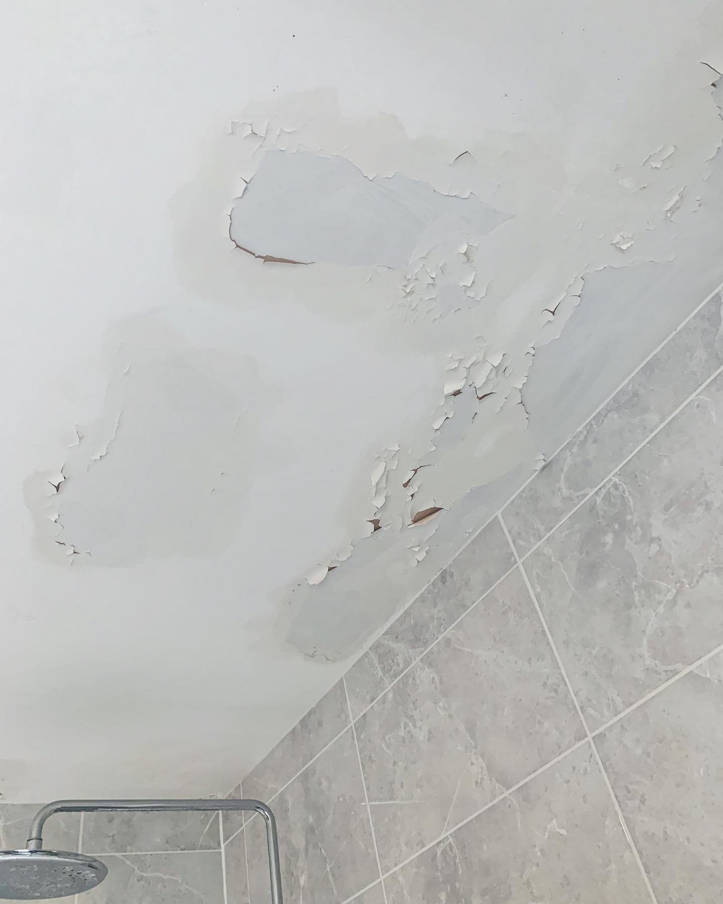 This client&rsquo;s bathroom was refurbished two years ago and already, the paint had started to peel off. The previous contractor had tried to repair this by painting over the patches - causing even more peeling. We were called to investigate and re