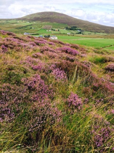  Example of landscape in County Mayo 