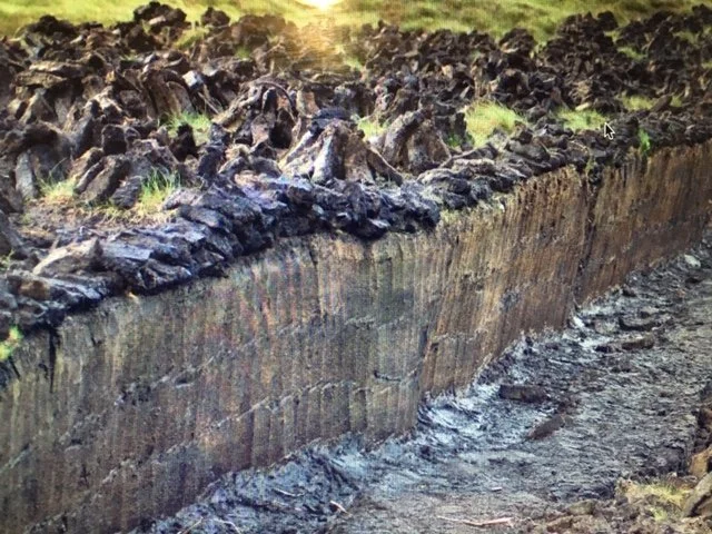   Turf Bank in Ireland. To give a sense of where the Turf comes from.  