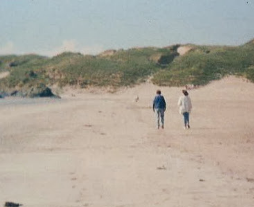 Ann Ryan: Home