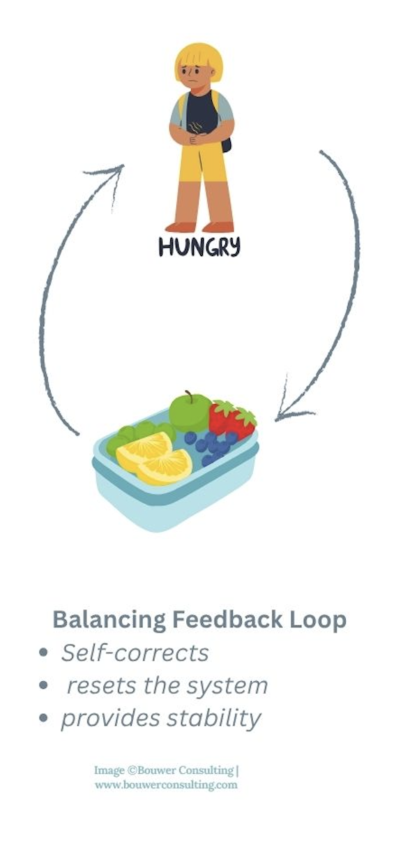 example of a balancing feedback loop hungry boy with fruit