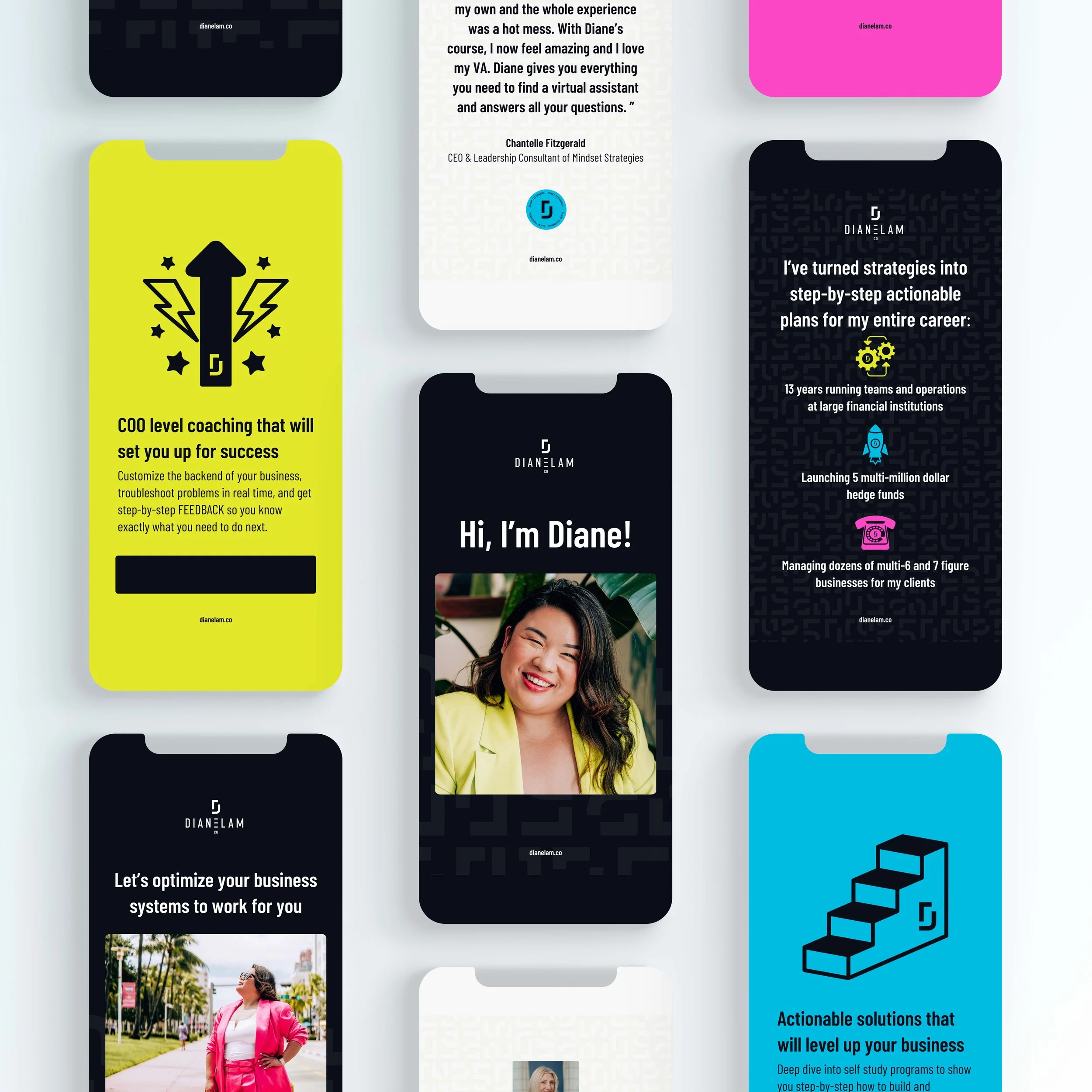 Social media posts for Diane Lam