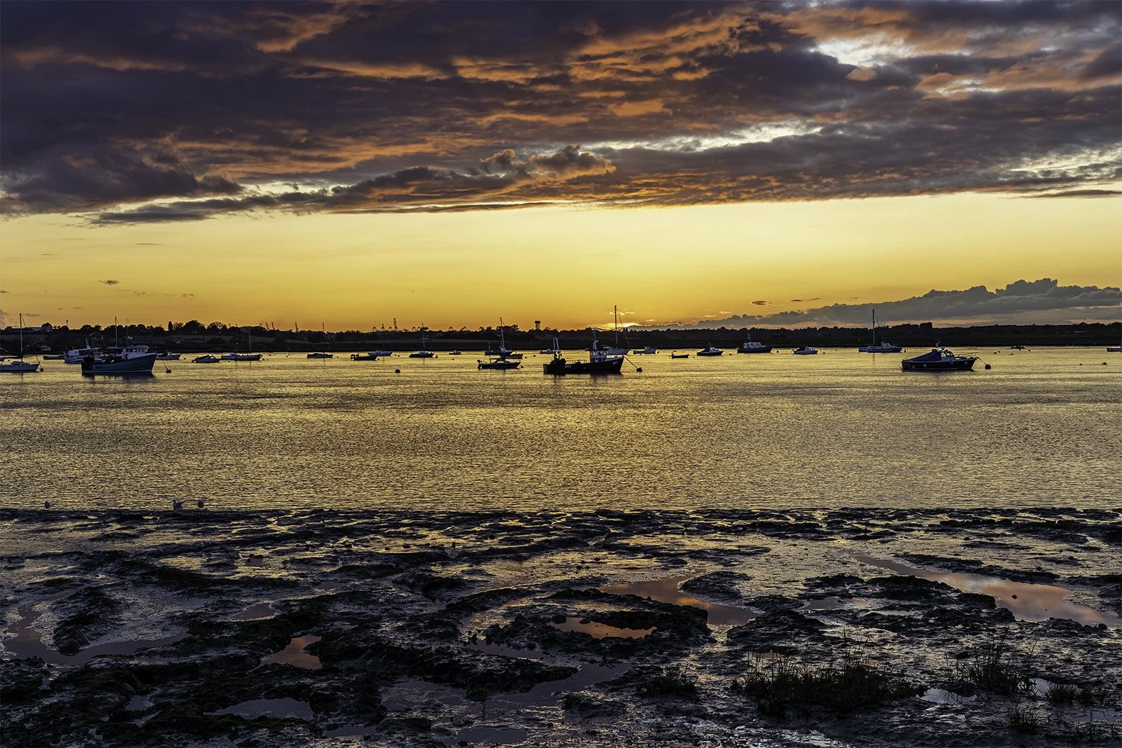 Sunset reflections.jpg