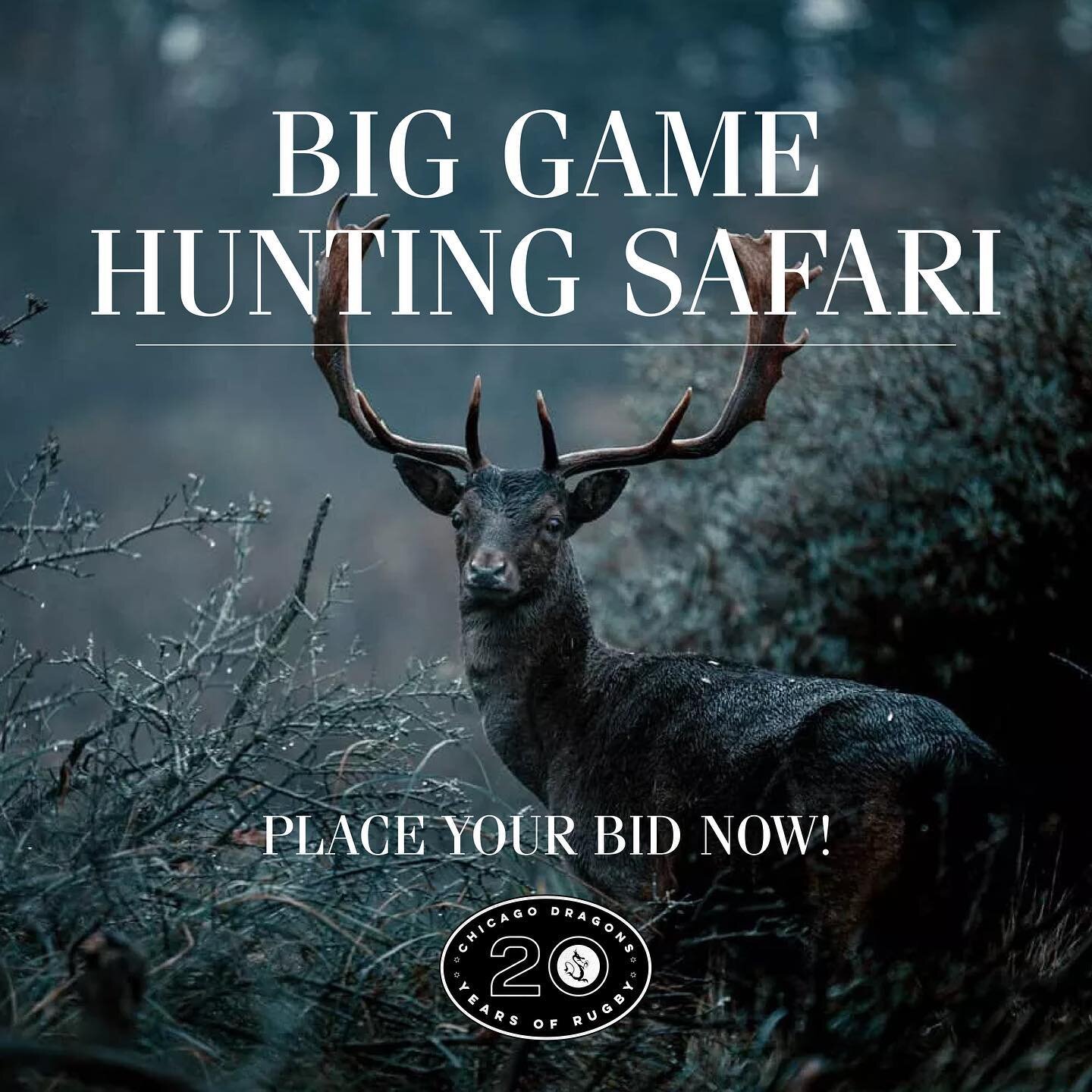 Big Game Hunting Safari for 4 in New Zealand. This Experience Includes:

- 4-night stay in an upscale hunting lodge for four
- Five days with three full guided hunting days
- Three gourmet-prepared meals per day
- Local Wine, beer, soda and bottled w