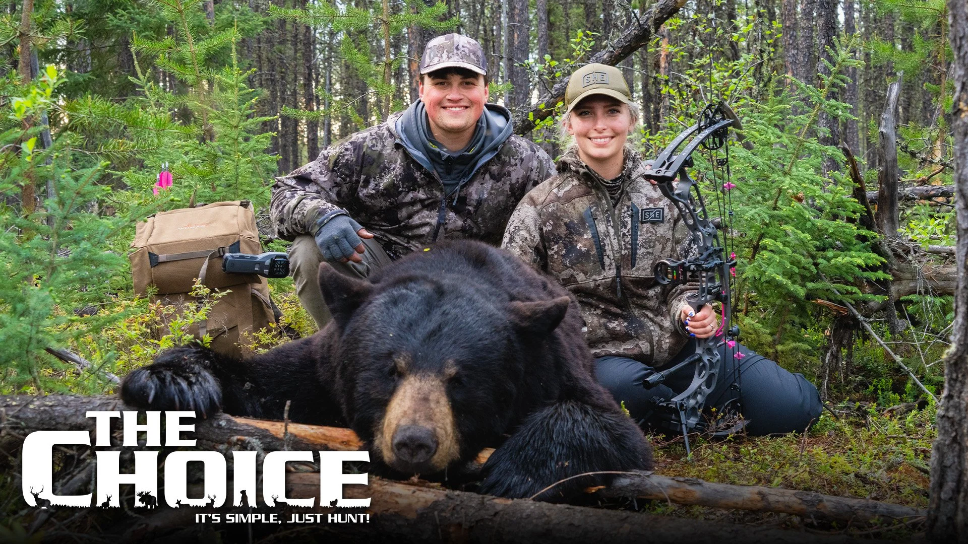 Bear N’ Down! Pt.1