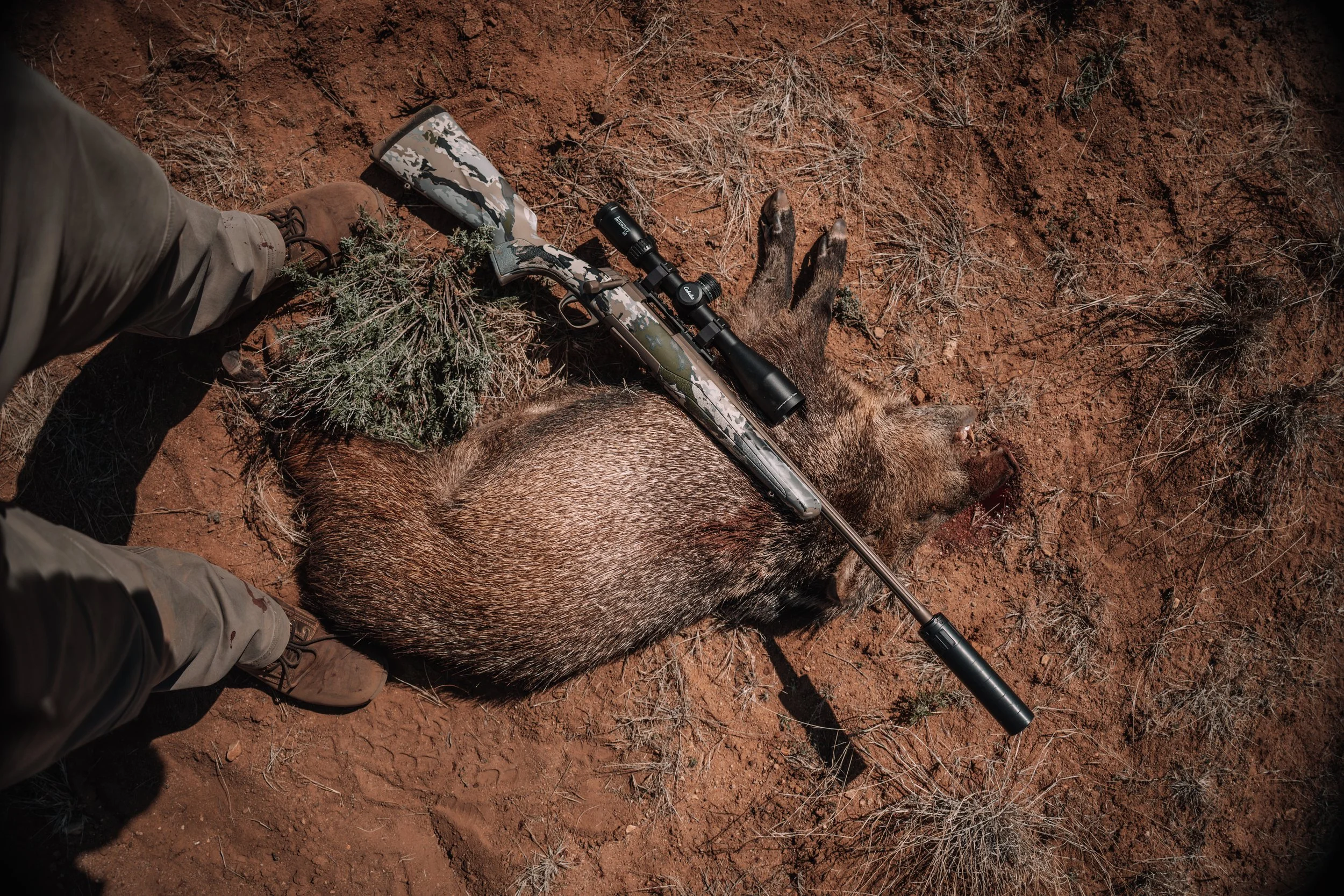 Team Ramos NM Javelina Edition
