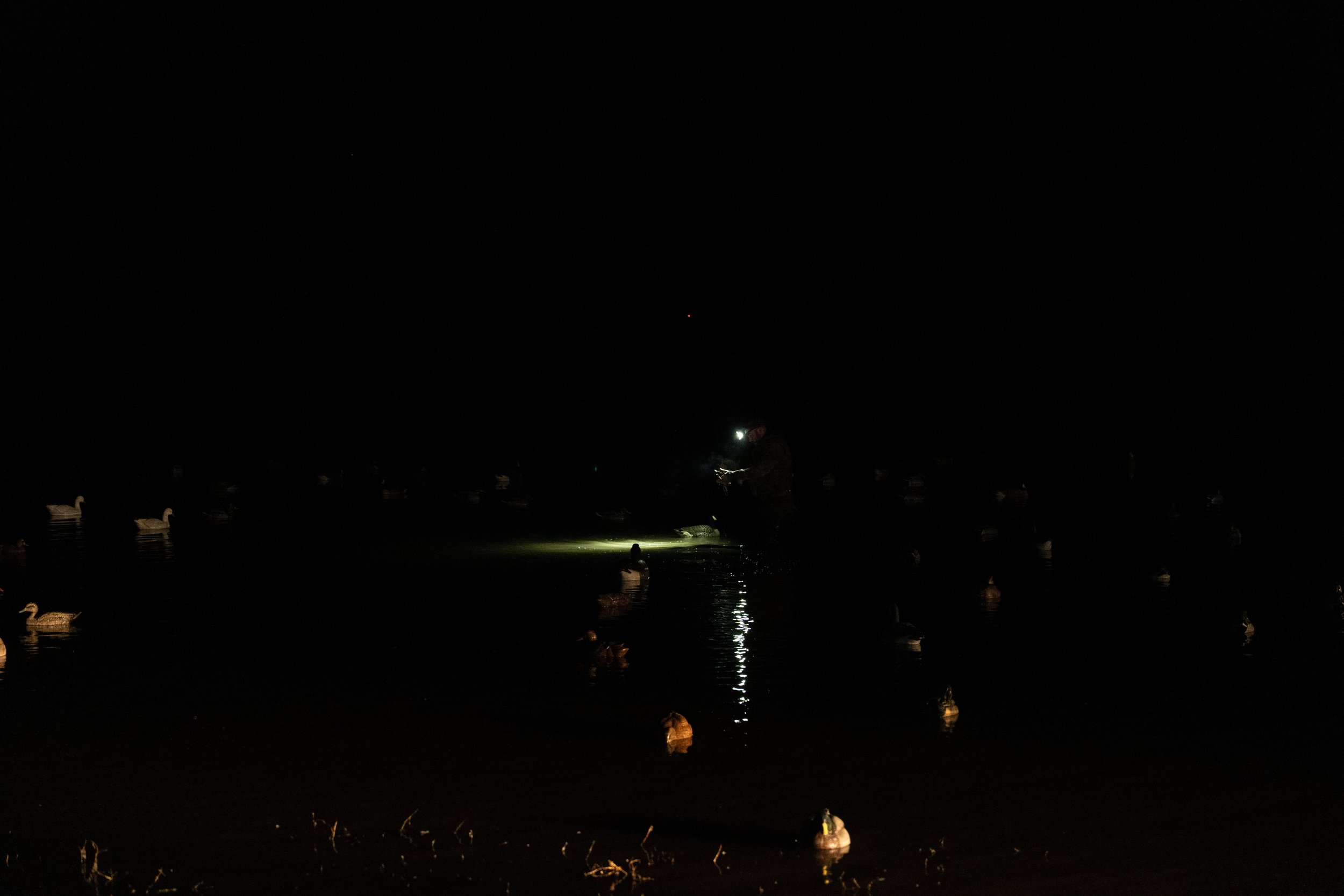 DSC00178.jpg