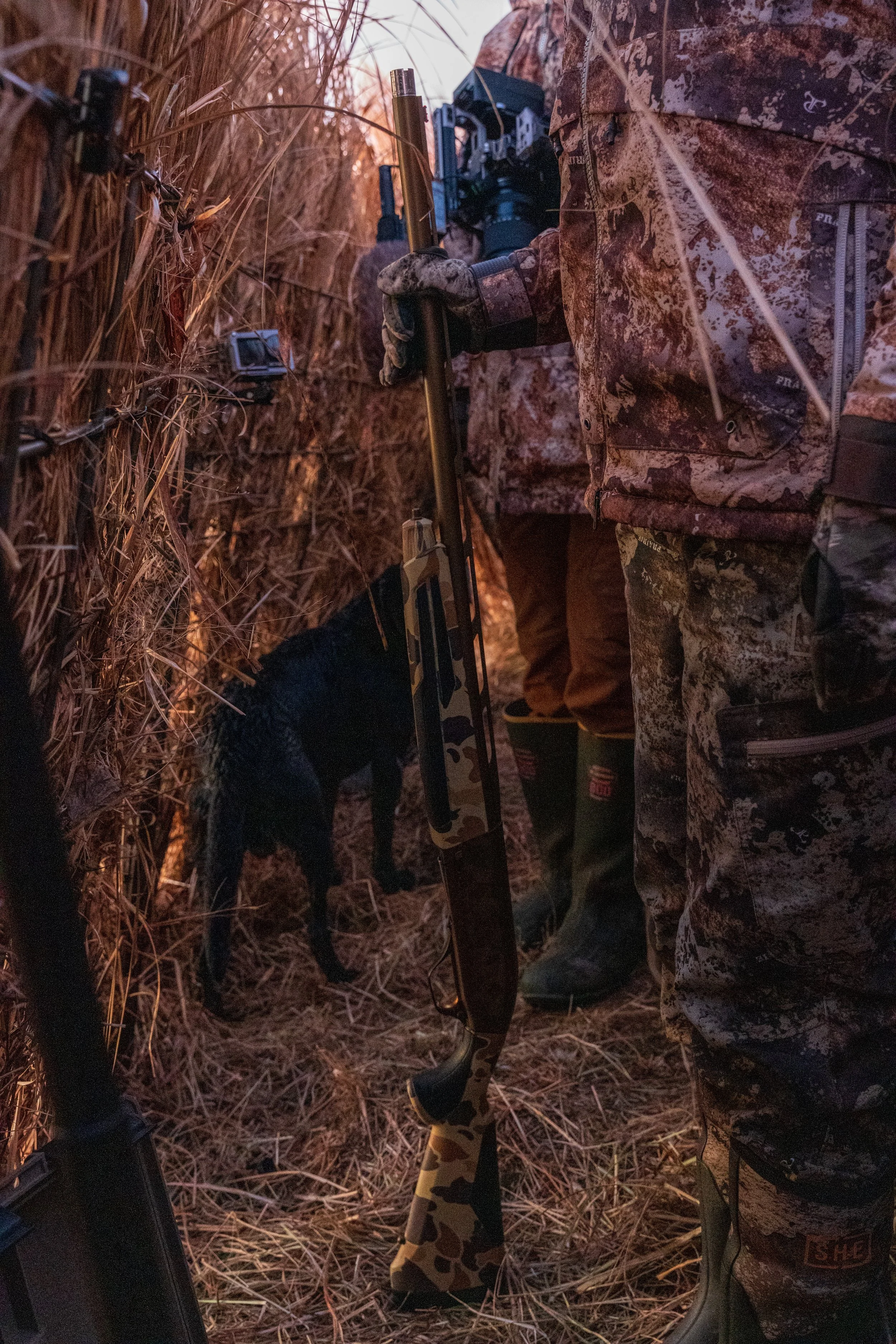 DSC00239.jpg