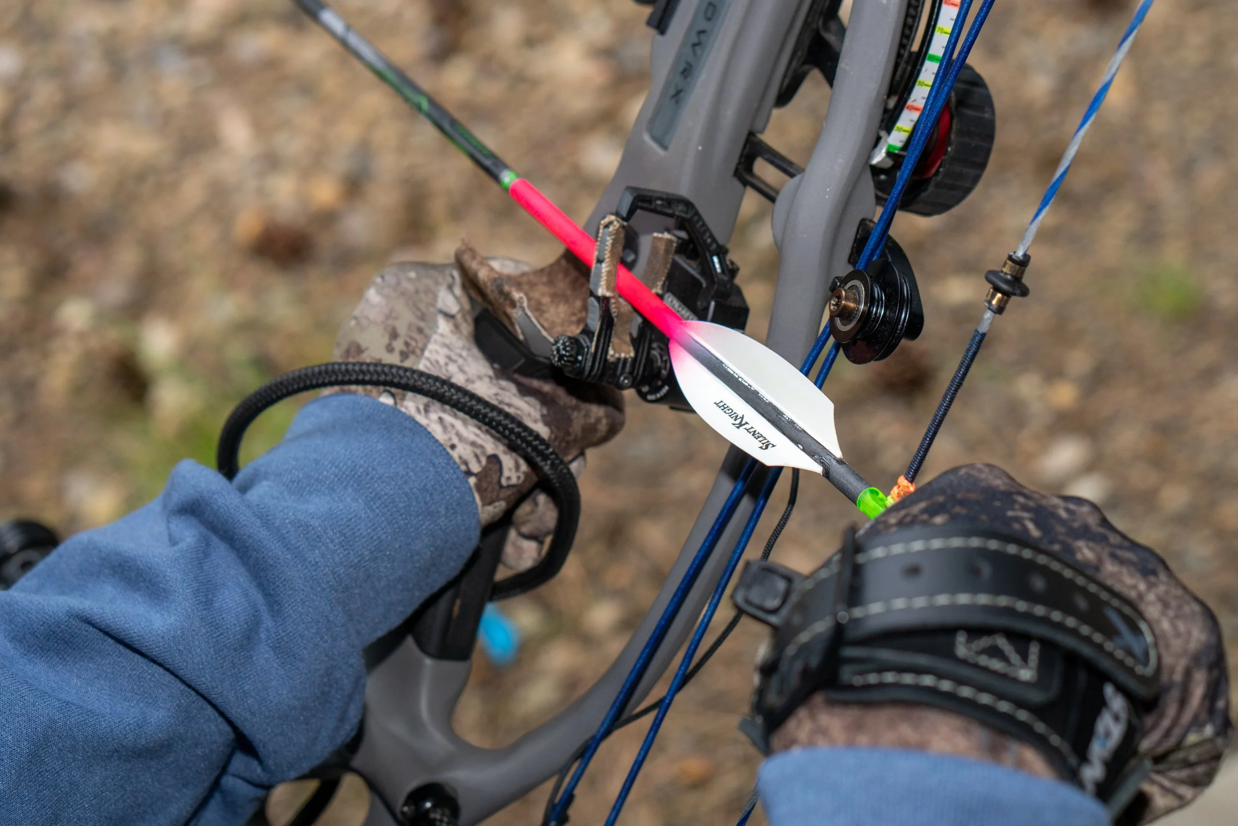 2408_CO_Archery Range_Flex Fletch_Silent Knight.jpg
