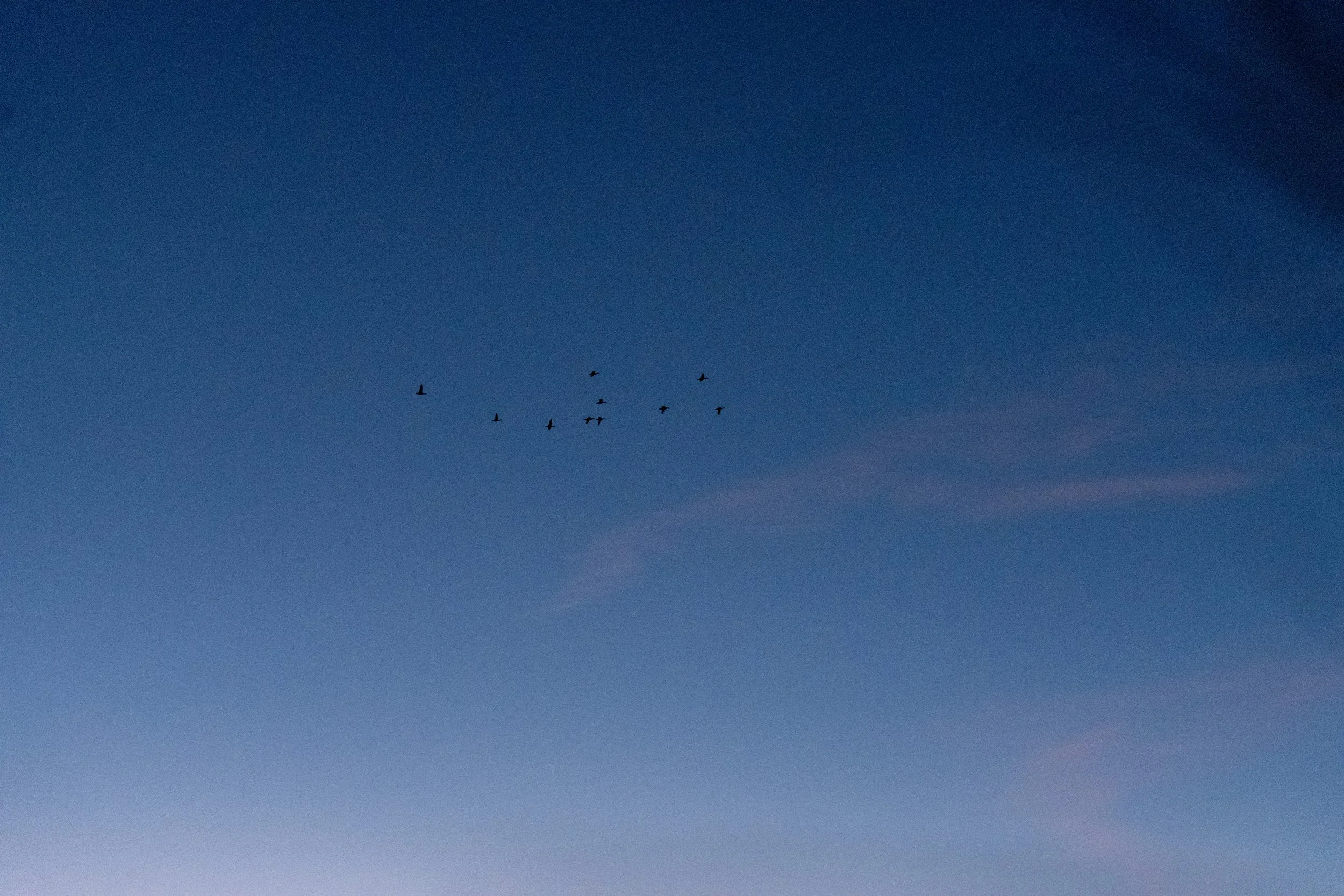 DSC00213.jpg