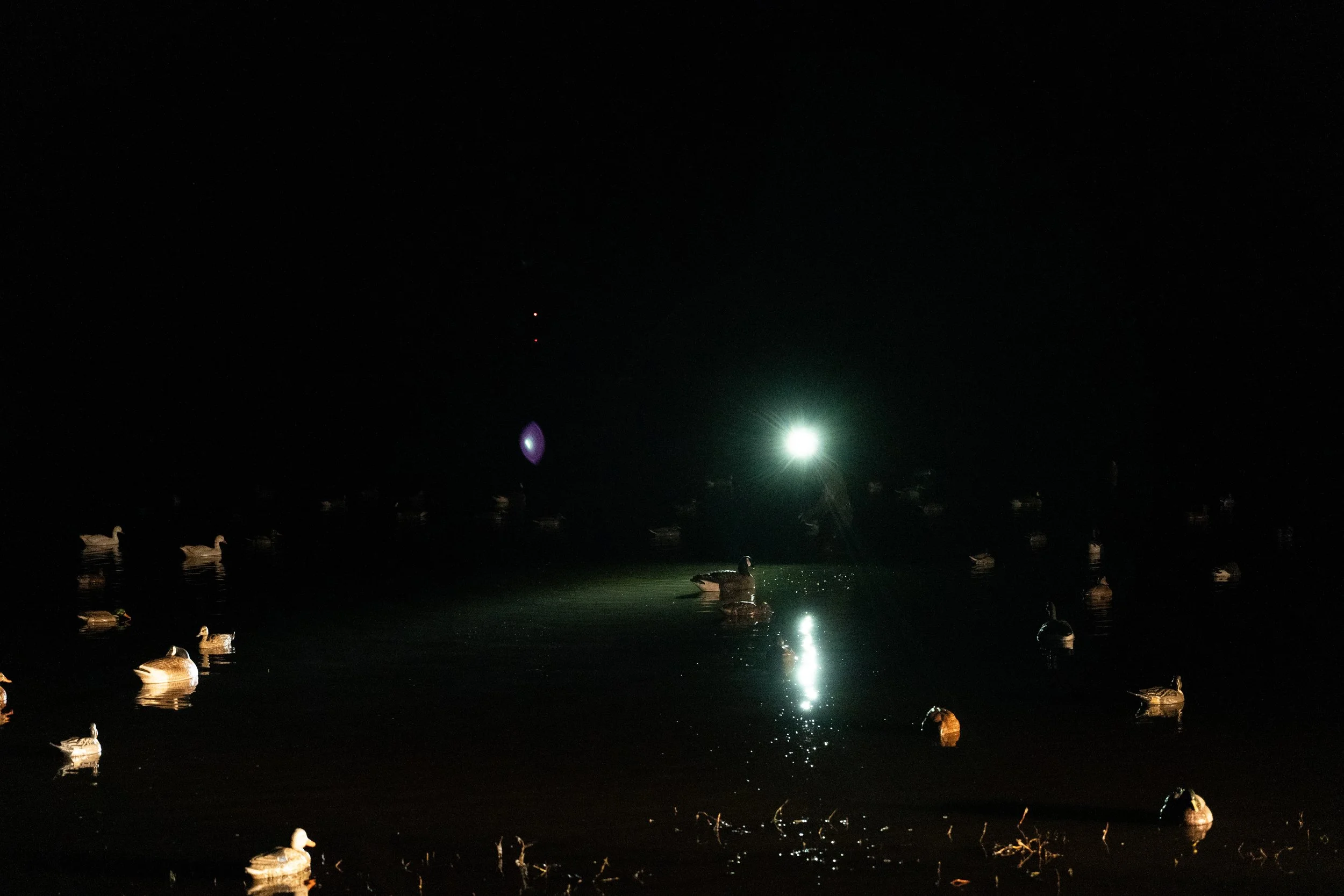 DSC00179.jpg