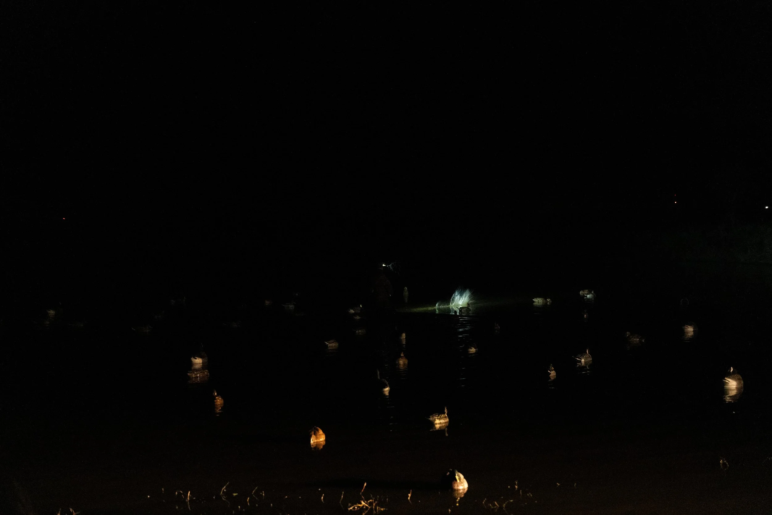 DSC00182.jpg
