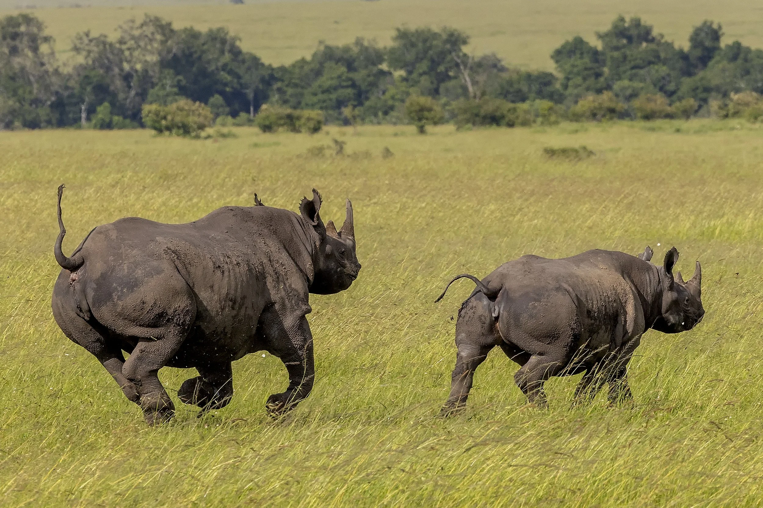 TAASA LODGE | Tanzania