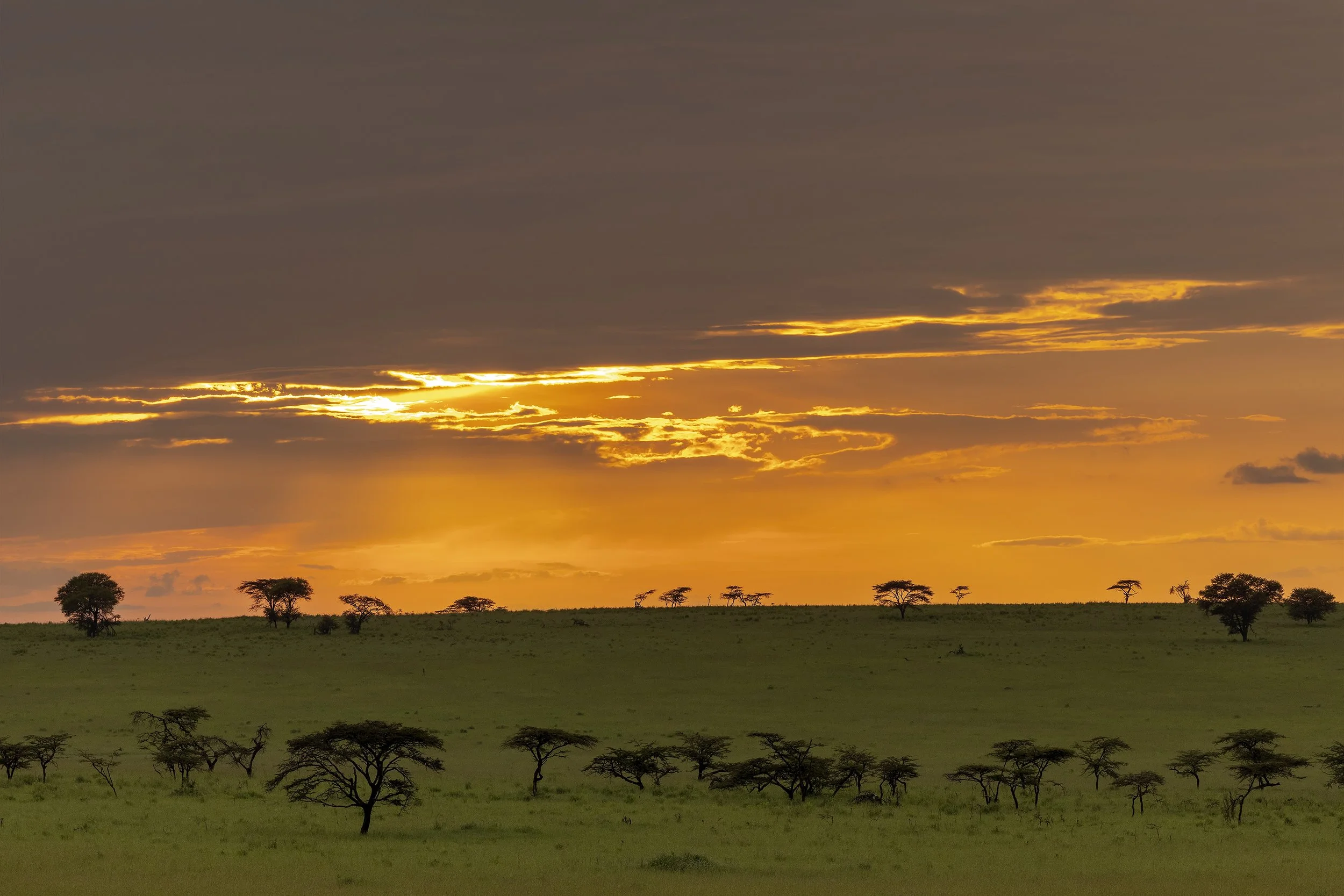 TAASA LODGE | Tanzania