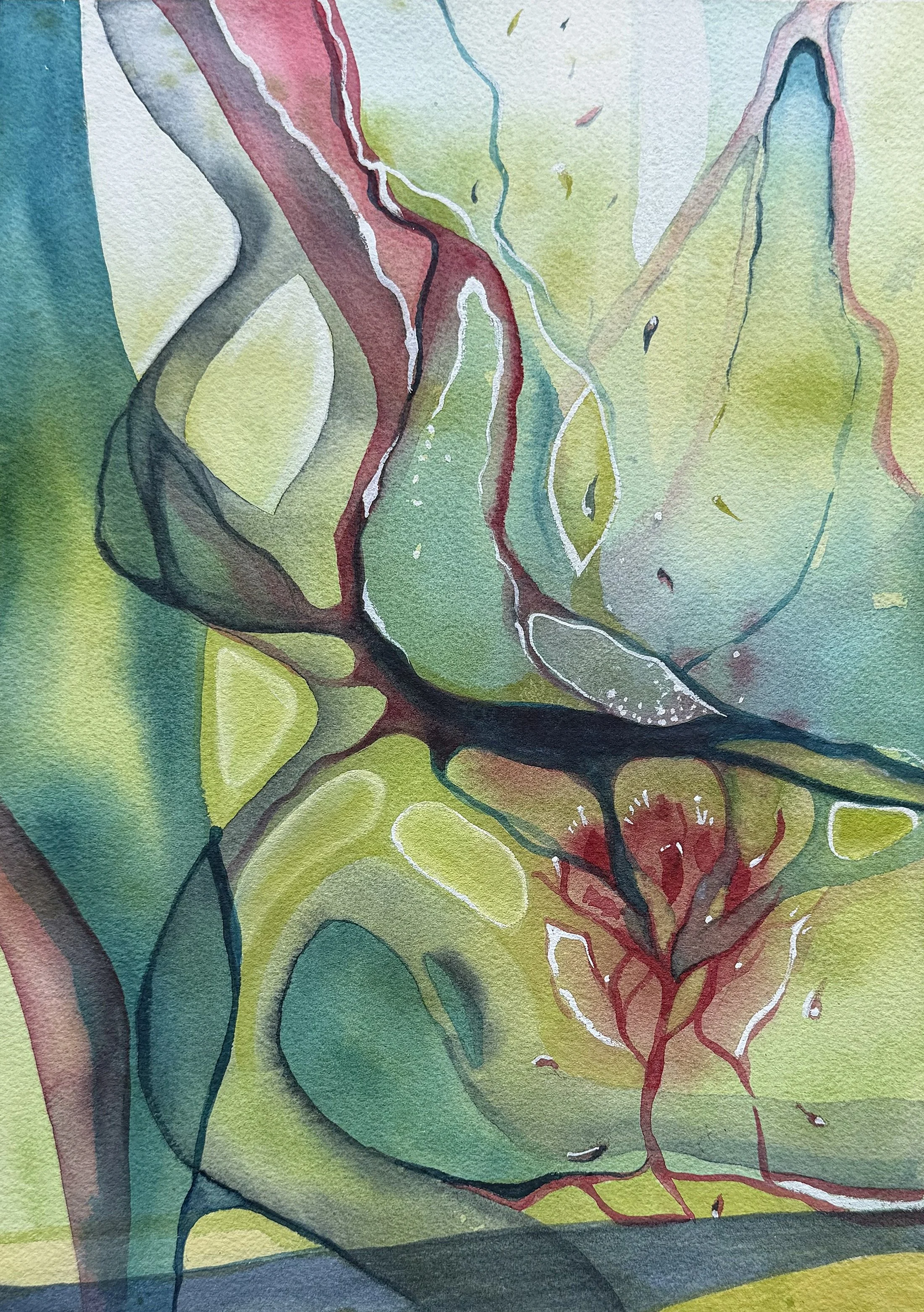 The Hopeful Gardener