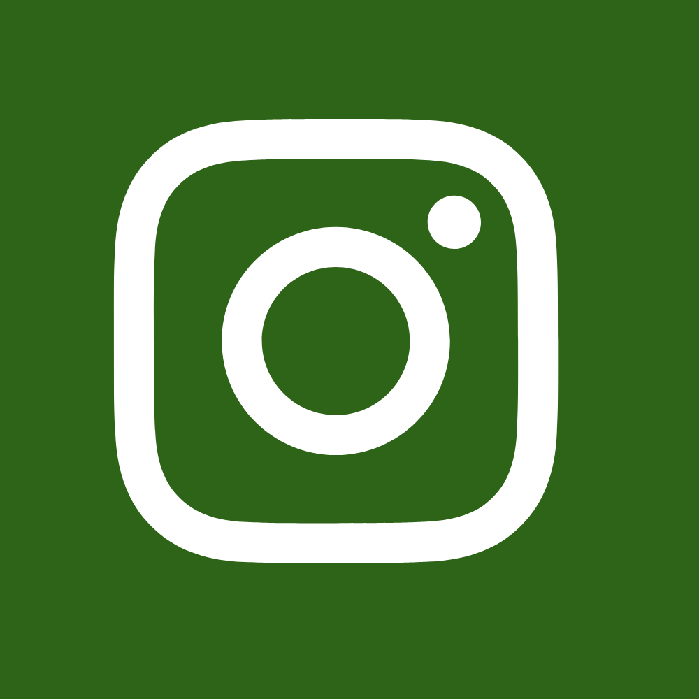 Instagram logo icon with a white camera symbol on a green background.