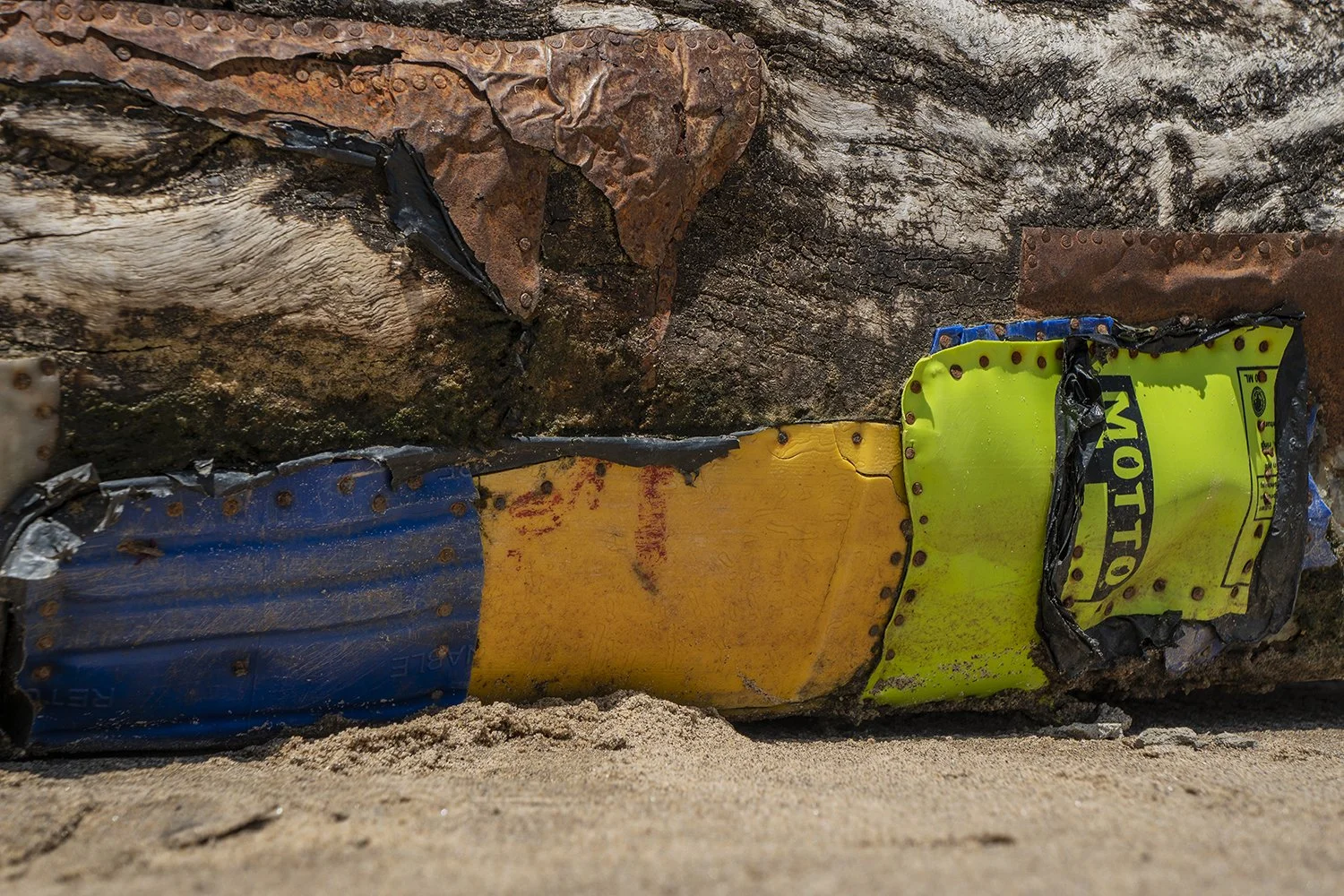 Ozhpe_Dugout canoe detail_2022 .jpg