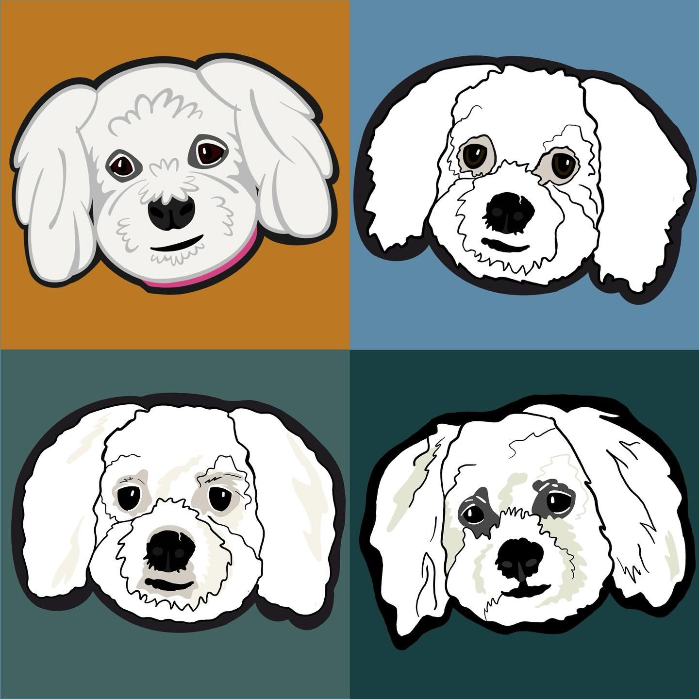Iterations &hellip; I take a lot of time and care to make sure your custom rugs are just right &hellip; which all starts with the sketch. This sweet pup was a bit tricky, like any all white or all black pet! She started out way too cartoon-y, but aft