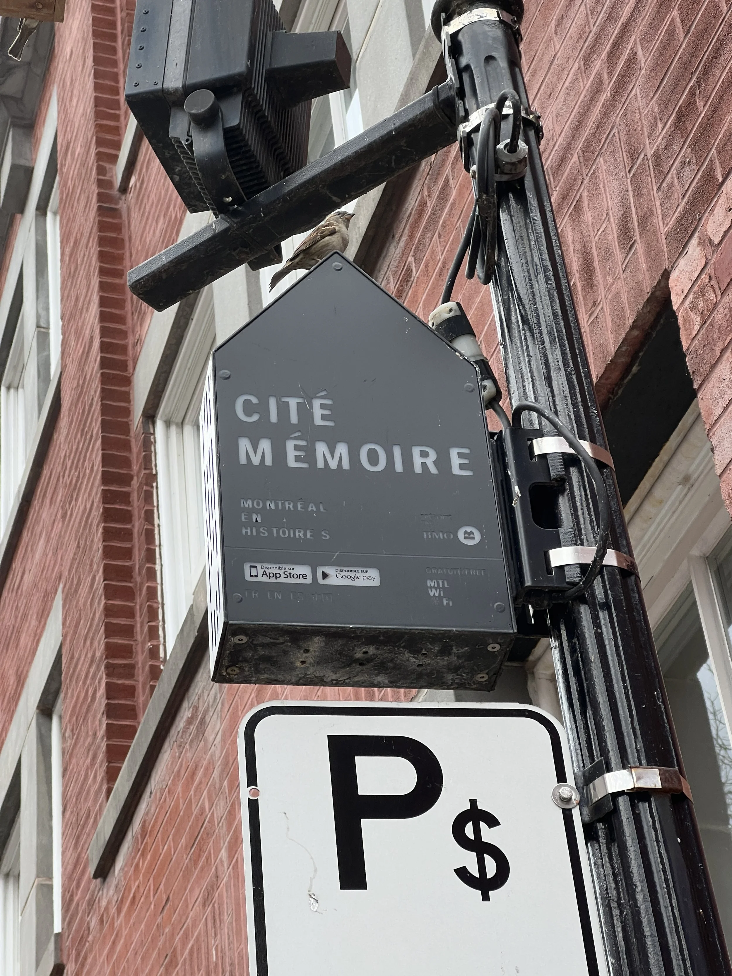 Cité Memoire Montreal